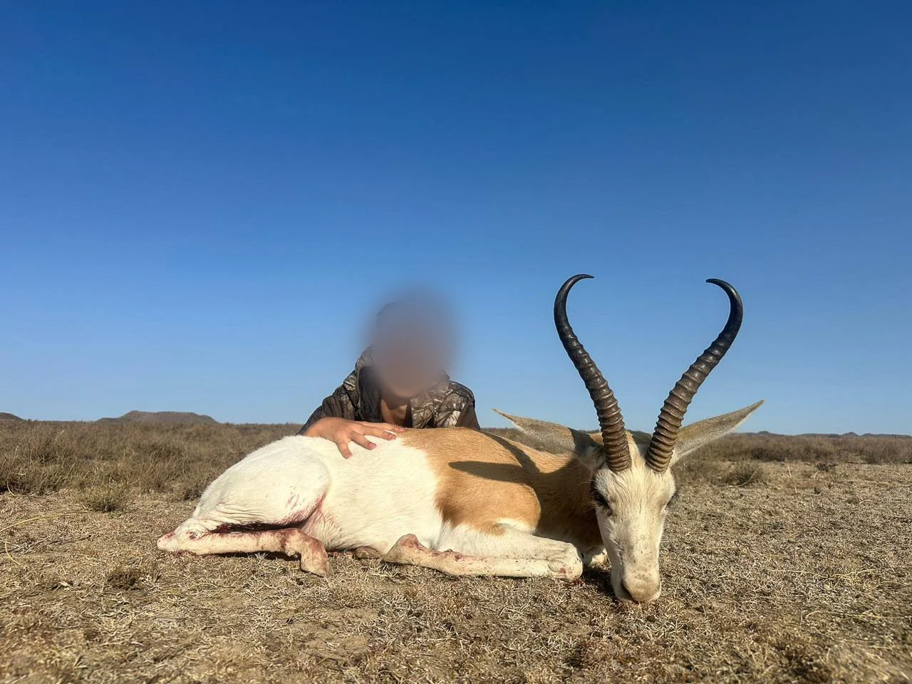 WhatsApp Image 2024-09-14 at 12.15.38 AM.jpg