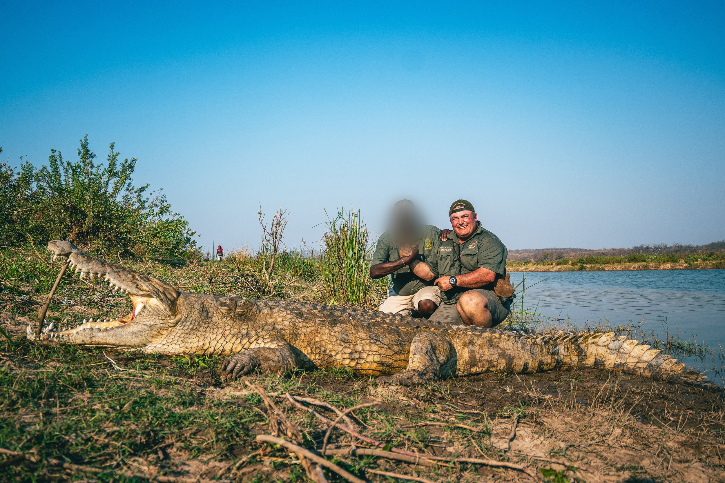 Nile Crocodile - Trophy