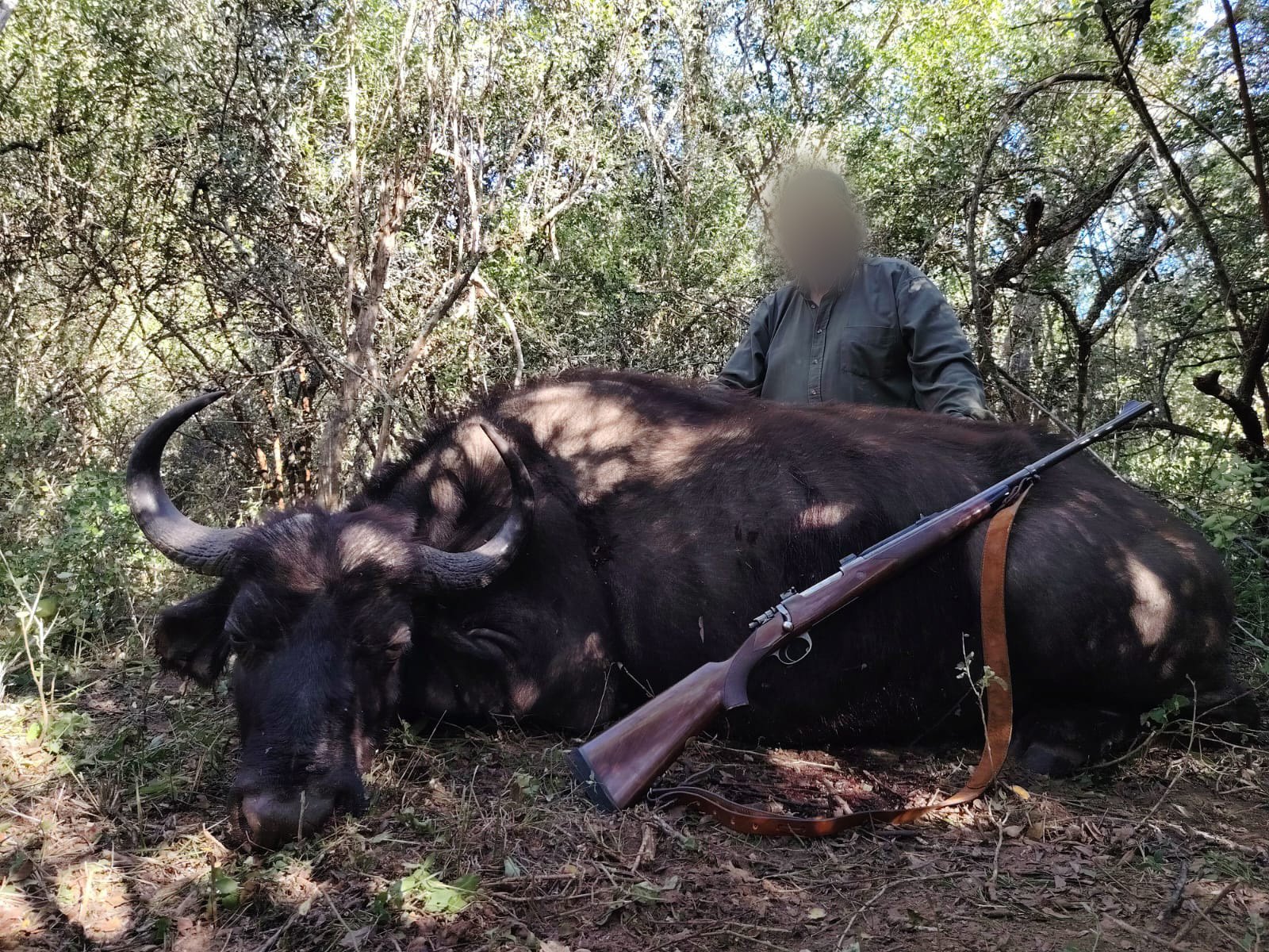 WhatsApp Image 2025-05-31 at 6.27.42 PM.jpg