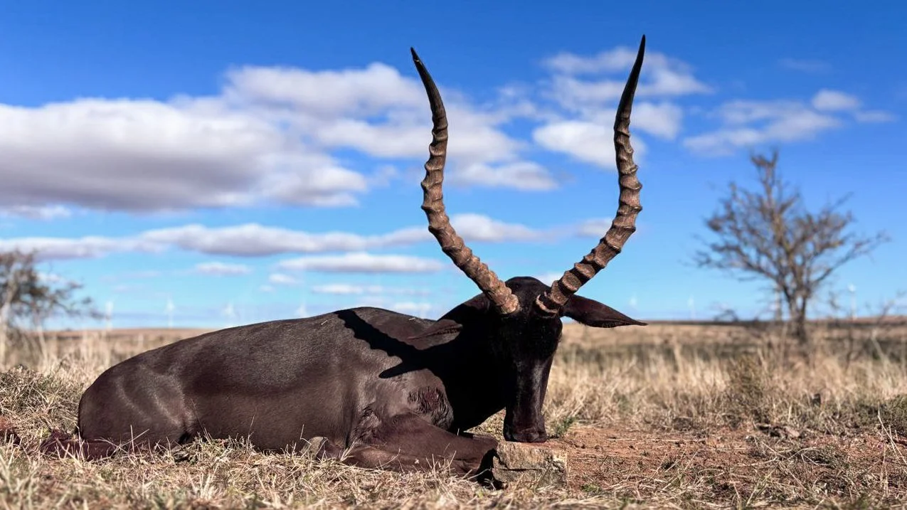 WhatsApp Image 2025-07-12 at 2.57.03 PM.JPG