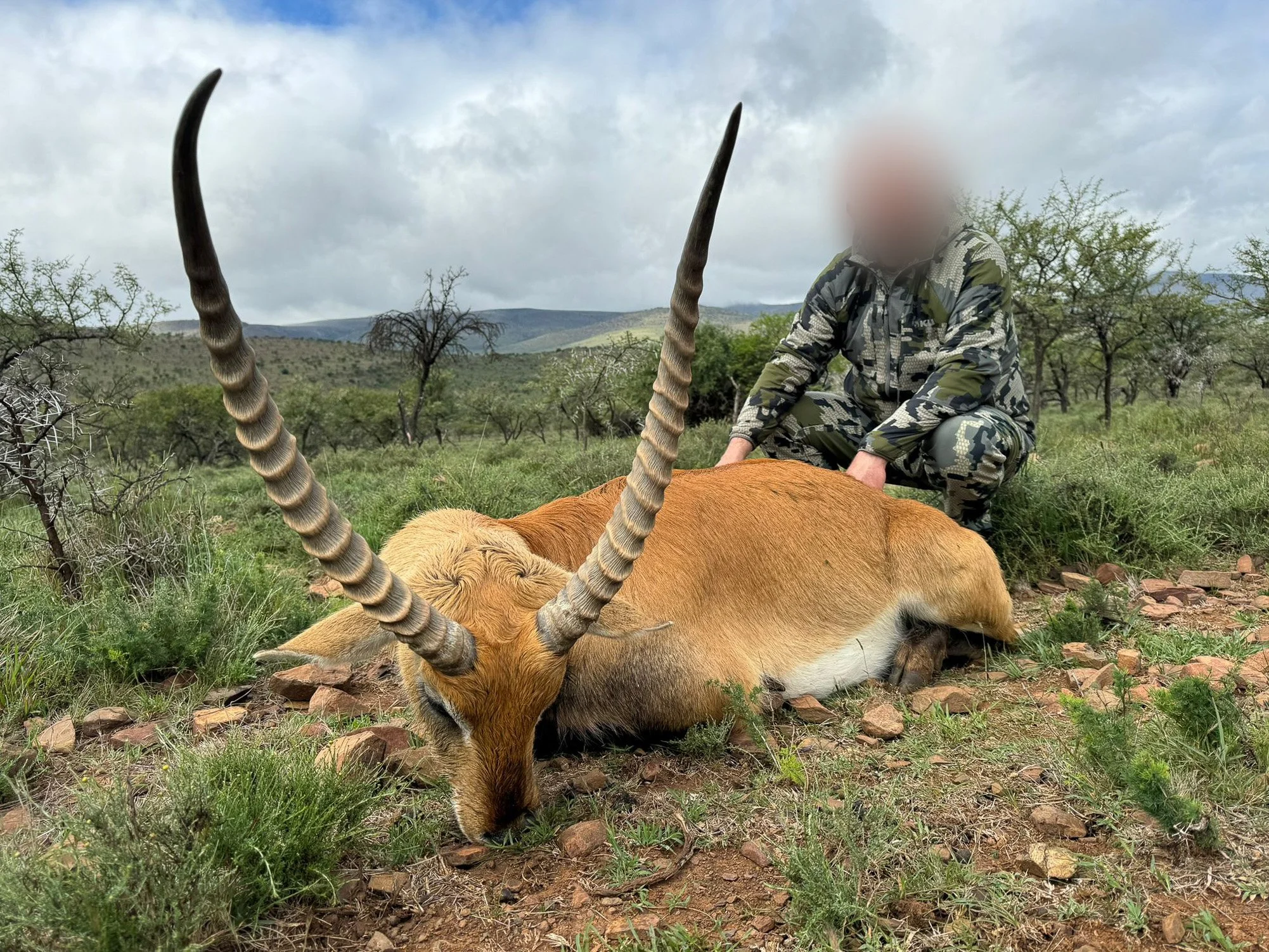 WhatsApp Image 2024-04-26 at 12.58.21 PM.jpg