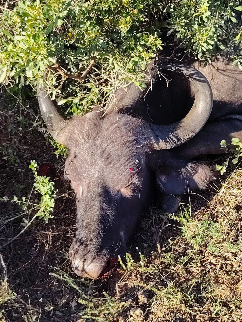 WhatsApp Image 2025-05-31 at 6.24.02 PM.JPG