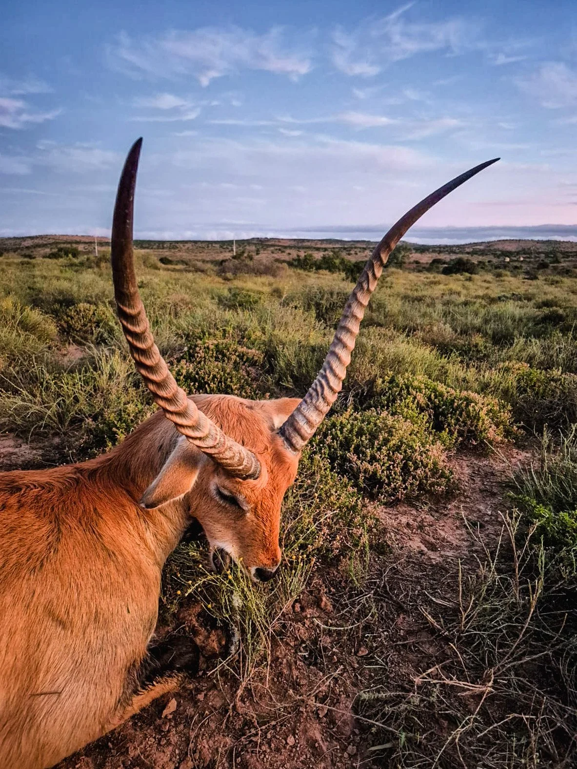 WhatsApp Image 2025-05-27 at 2.43.35 AM.JPG