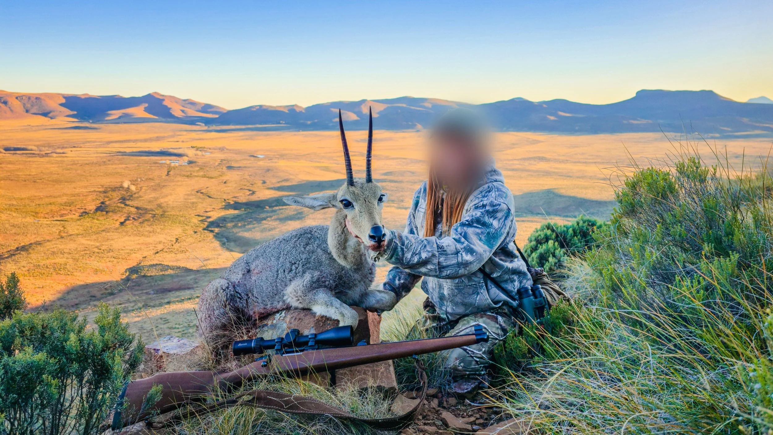 A person with blurred face in camouflage clothing sitting with a mountain goat in a grassy landscape with a view of rolling hills and mountains in the distance.