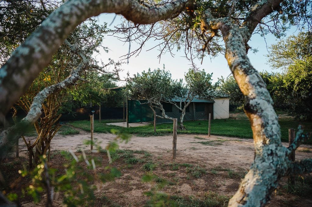 WhatsApp Image 2023-05-07 at 6.29.27 PM.jpg