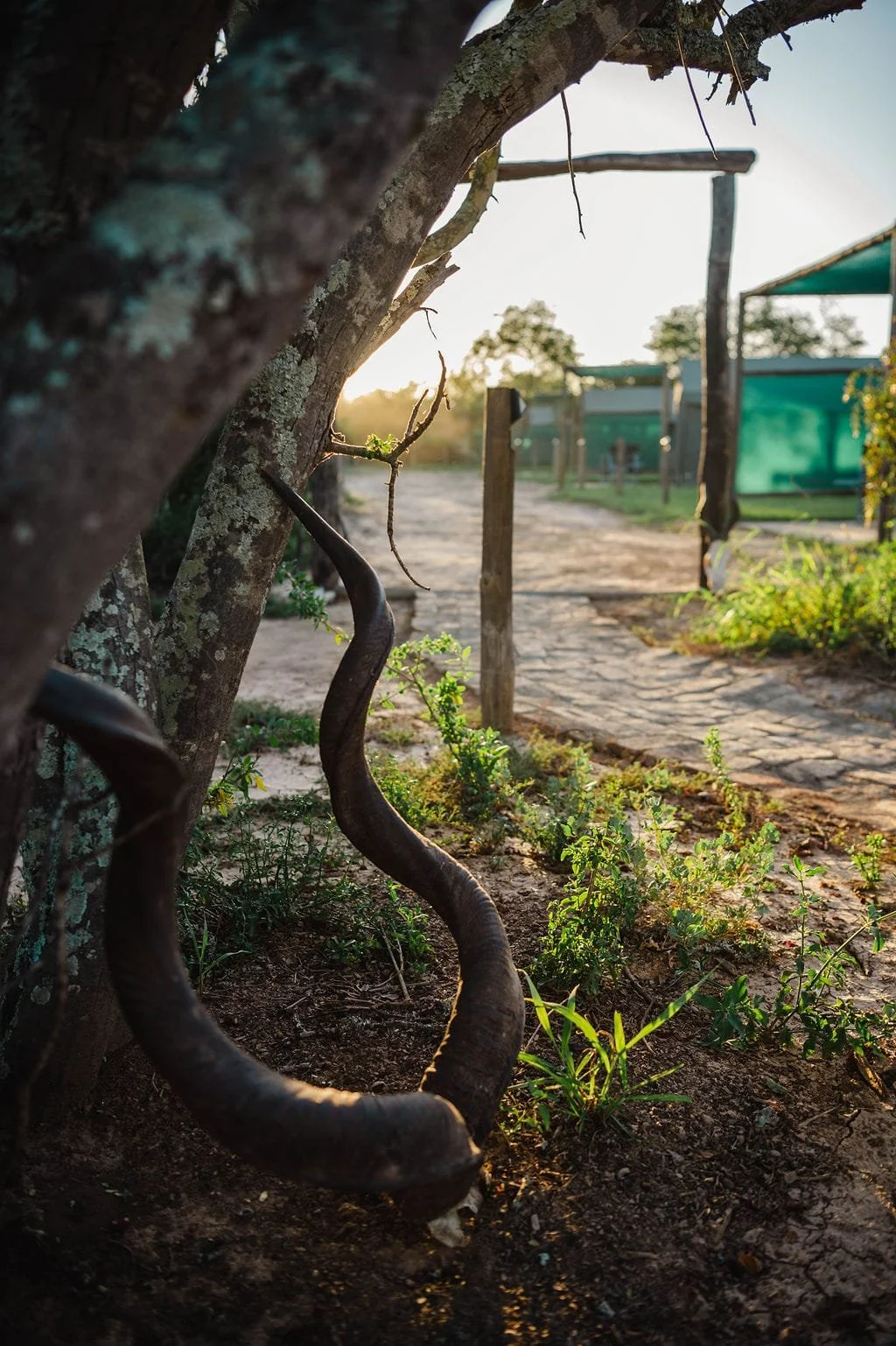 WhatsApp Image 2023-05-07 at 6.29.17 PM.jpeg