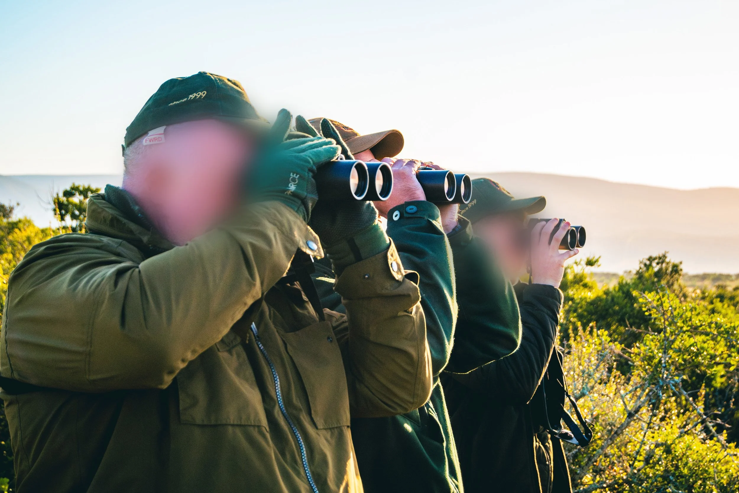 J30_1374-Enhanced-NR (2).jpg