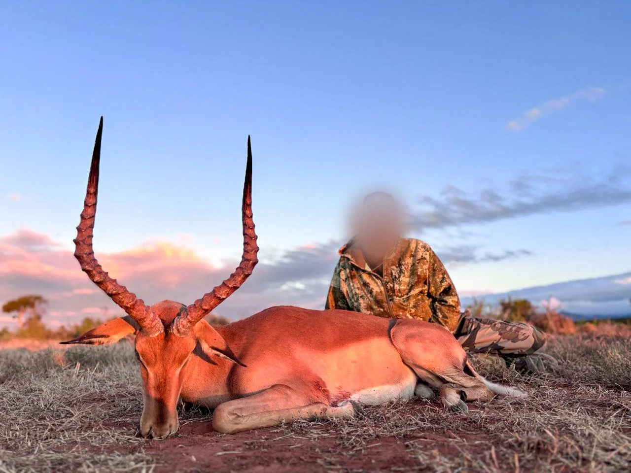 WhatsApp Image 2025-07-11 at 5.26.27 PM.jpg