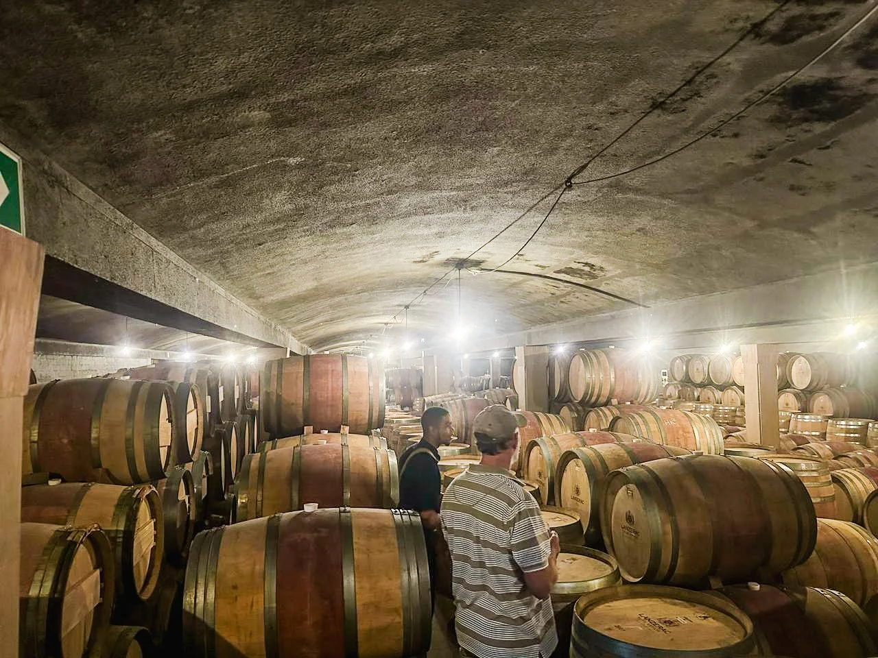 WhatsApp Image 2025-04-17 at 12.33.42 PM (1).JPG