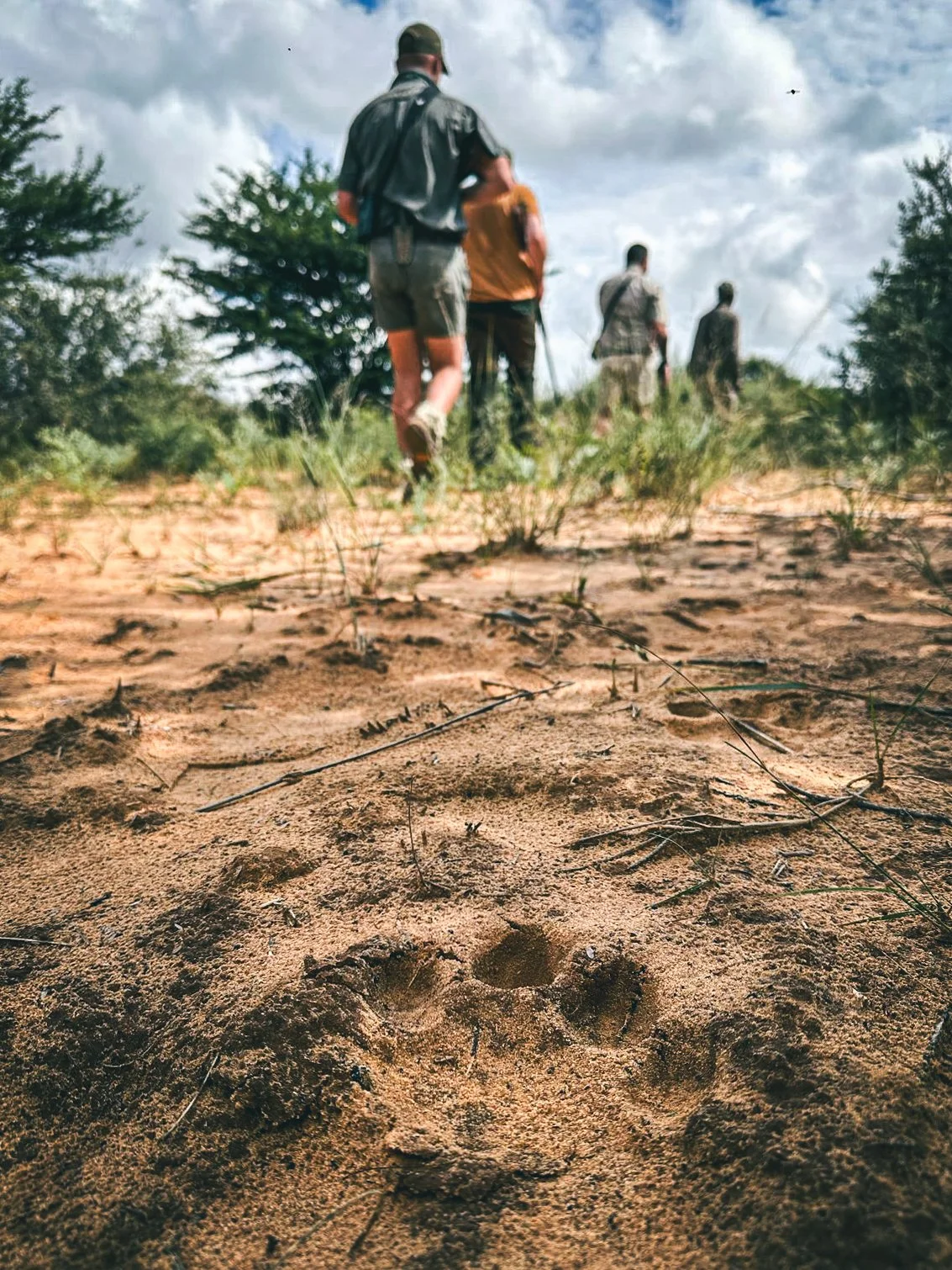 WhatsApp Image 2025-04-08 at 9.36.39 PM.JPG