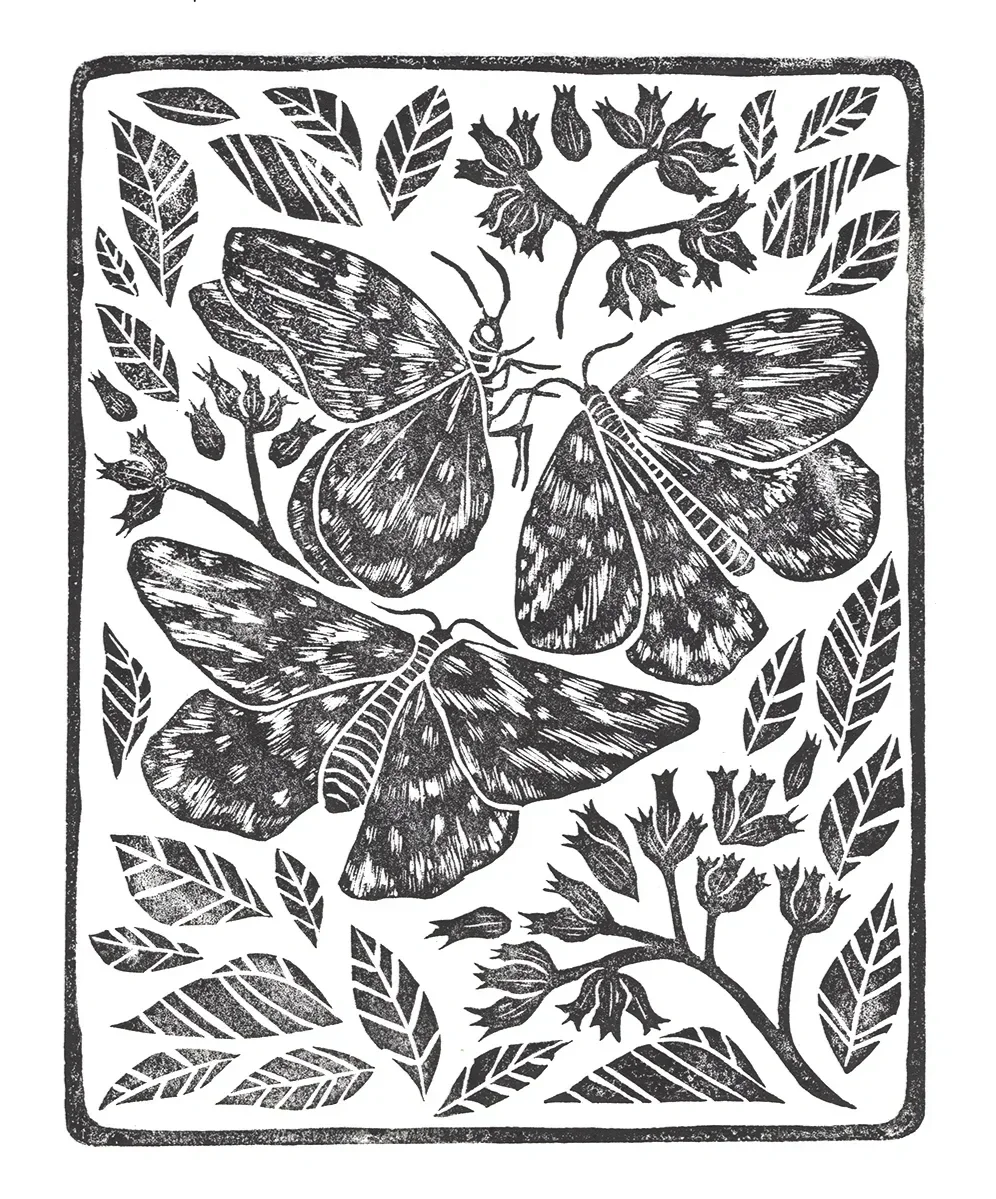 Black and white illustration of four butterflies, various leaves, and flowering plants within a rectangular border.