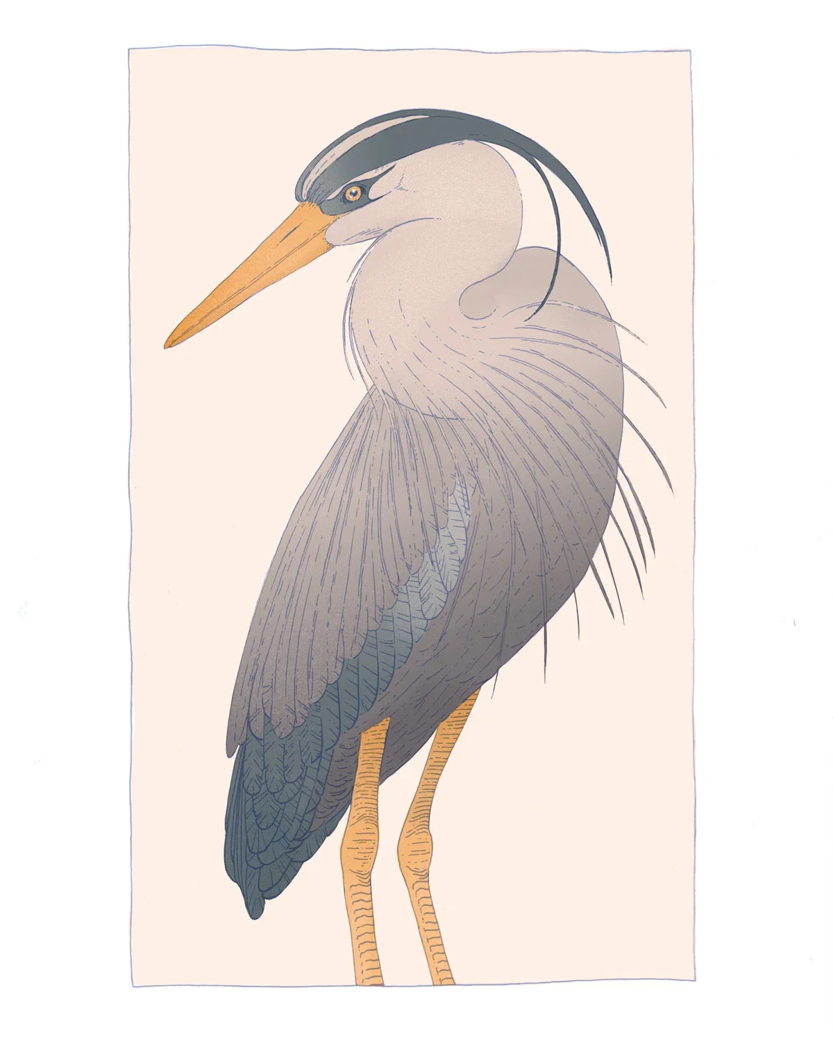 Illustration of a heron with a yellow beak, standing with a light background.