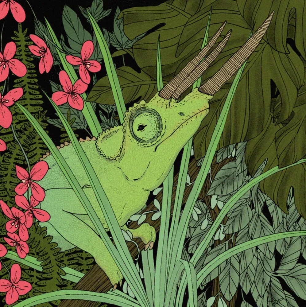 Illustration of a chameleon with green skin and two long horns hiding among green jungle leaves and pink flowers.