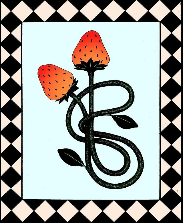 Illustration of two strawberries with green stems and leaves, arranged like a snake, set against a light blue background with a black and white checked border.