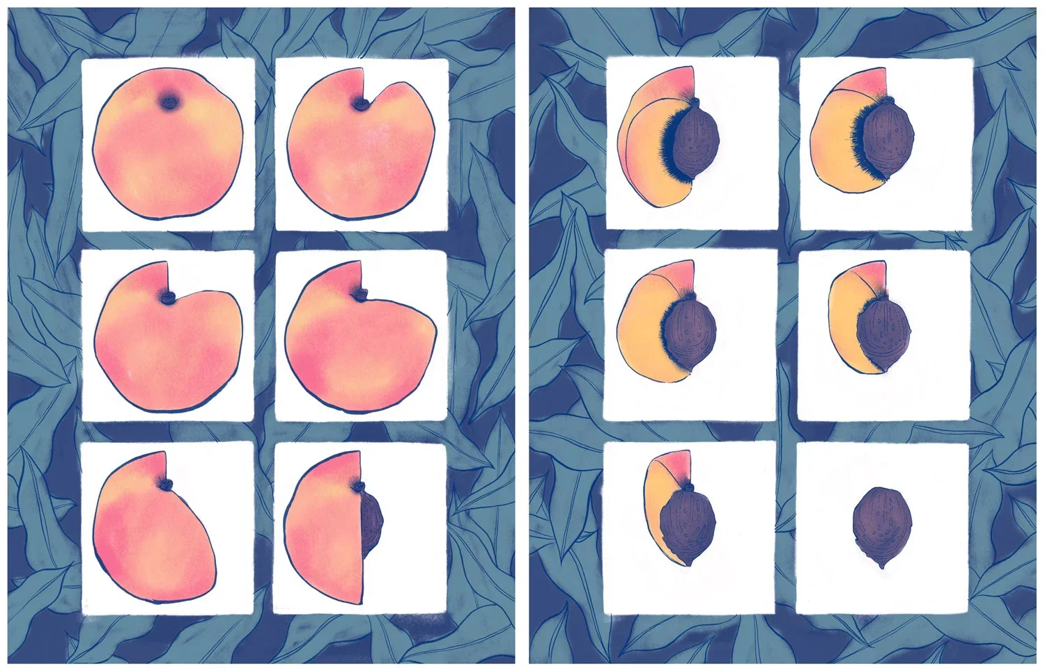 Comparison of peaches and their halves: the left side shows whole peaches, the right side shows peaches cut in half revealing the dark pit inside.