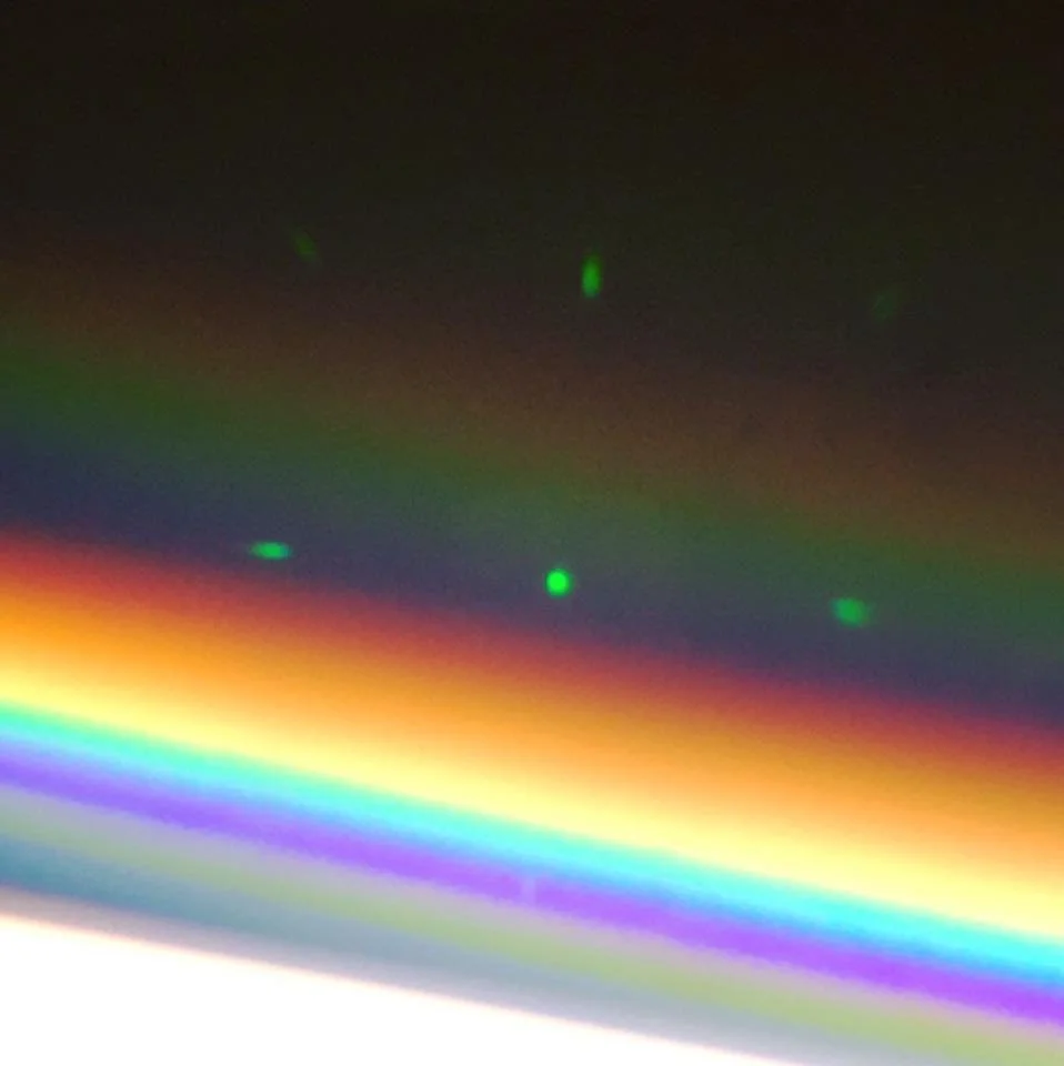 489953483_2341609132886725_9222021798248237734_n.jpg