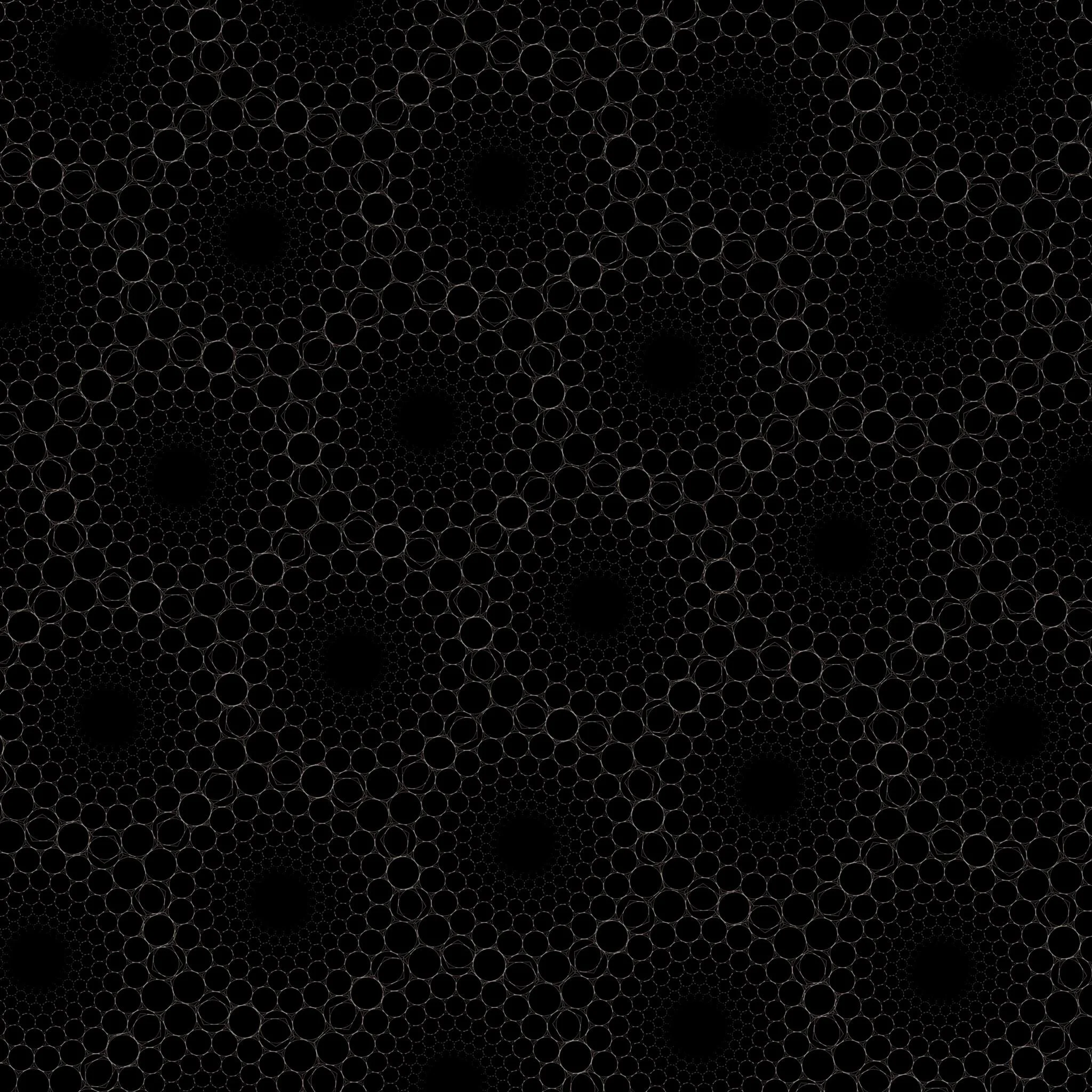 489713492_2339632149751090_7719101369487077808_n.jpg