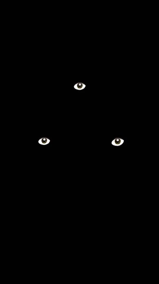 489668881_2340364289677876_2013401994729172335_n.jpg