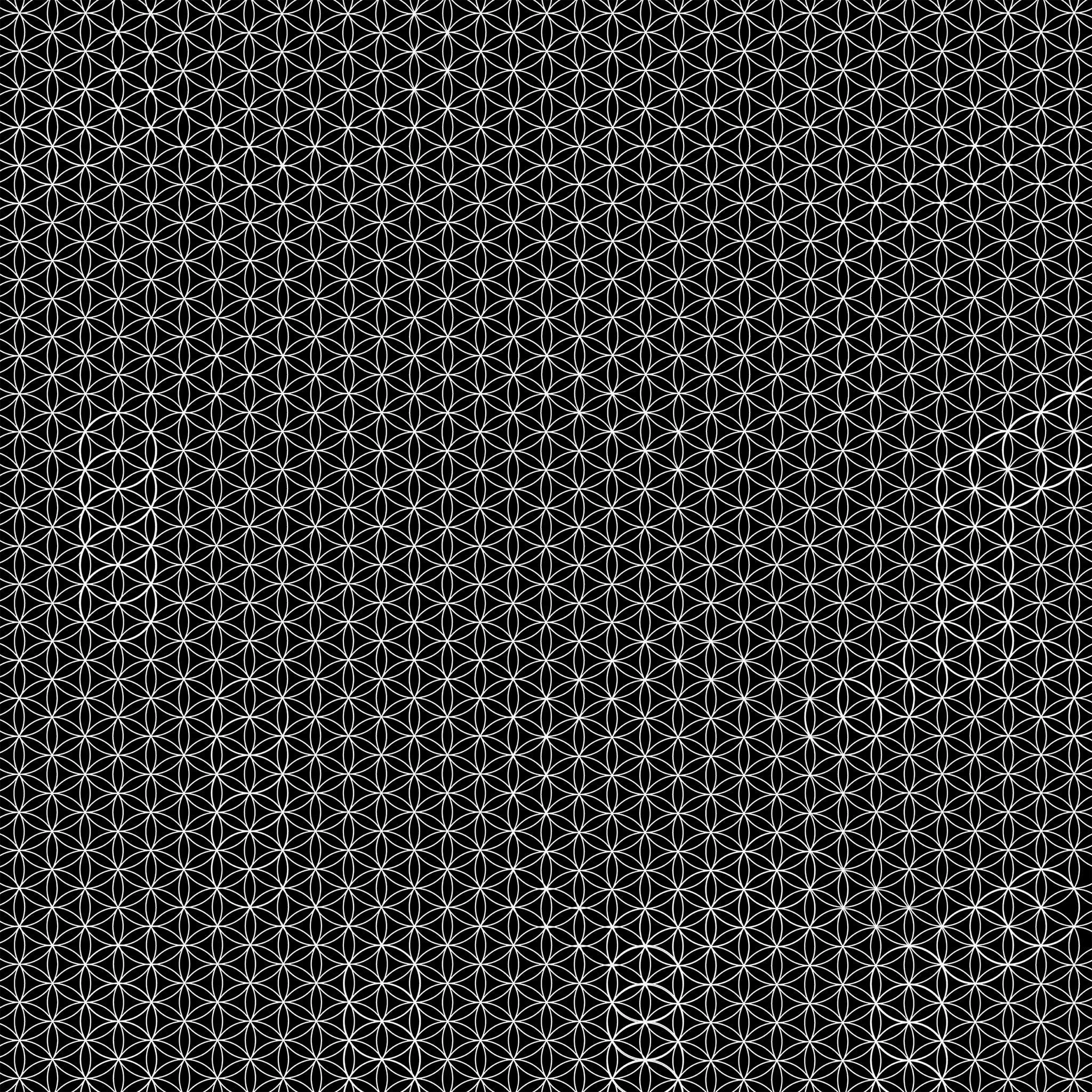 489447793_2338819319832373_7357894041962087785_n.jpg