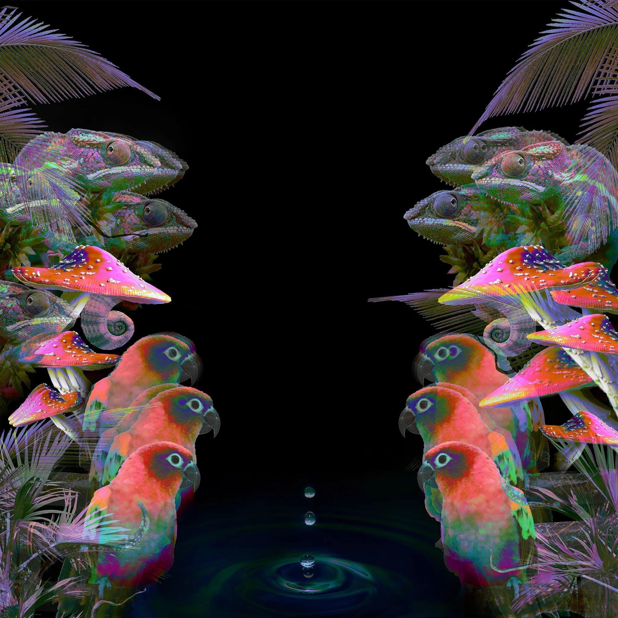 498199398_4065768173689410_3148330194116870310_n-2.jpg
