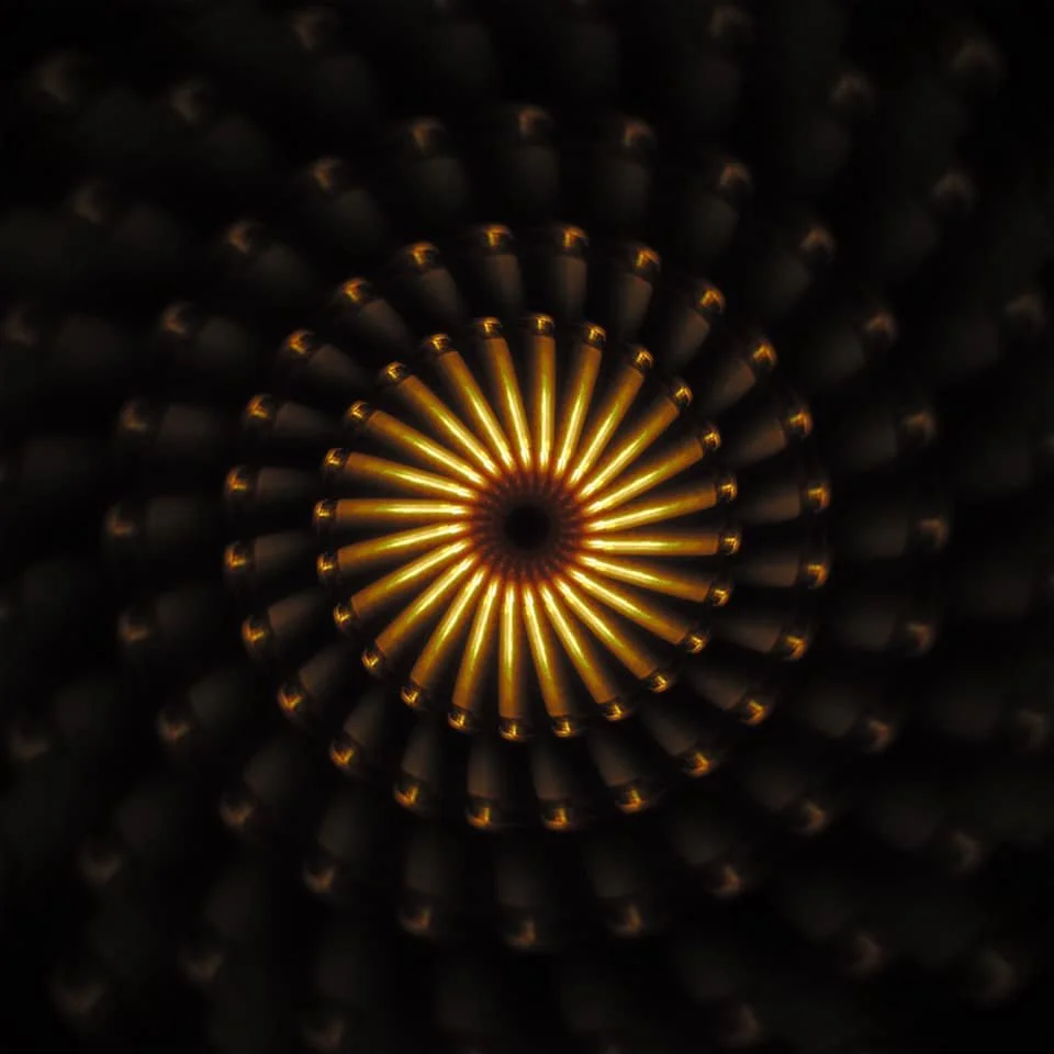 106054616_1124053757975608_4948687089730318807_n.jpg