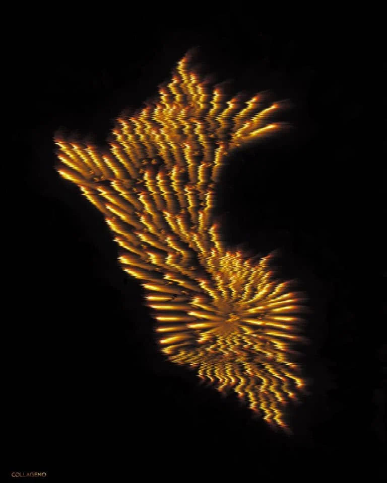 106733511_1125239921190325_174398799241738240_n.jpg