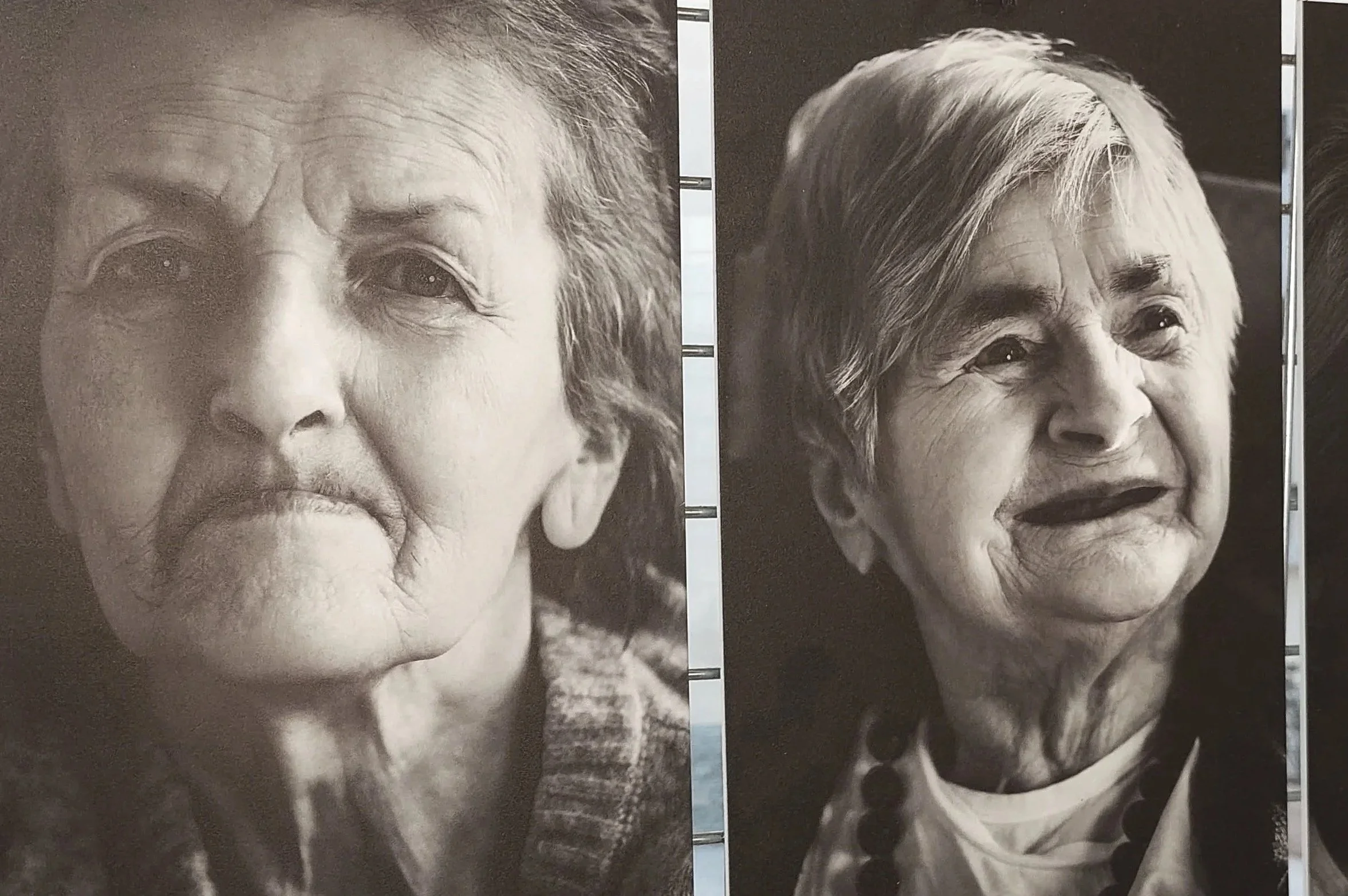 Ricordi Vivi: la mostra fotografica che racconta le persone oltre la fragilità