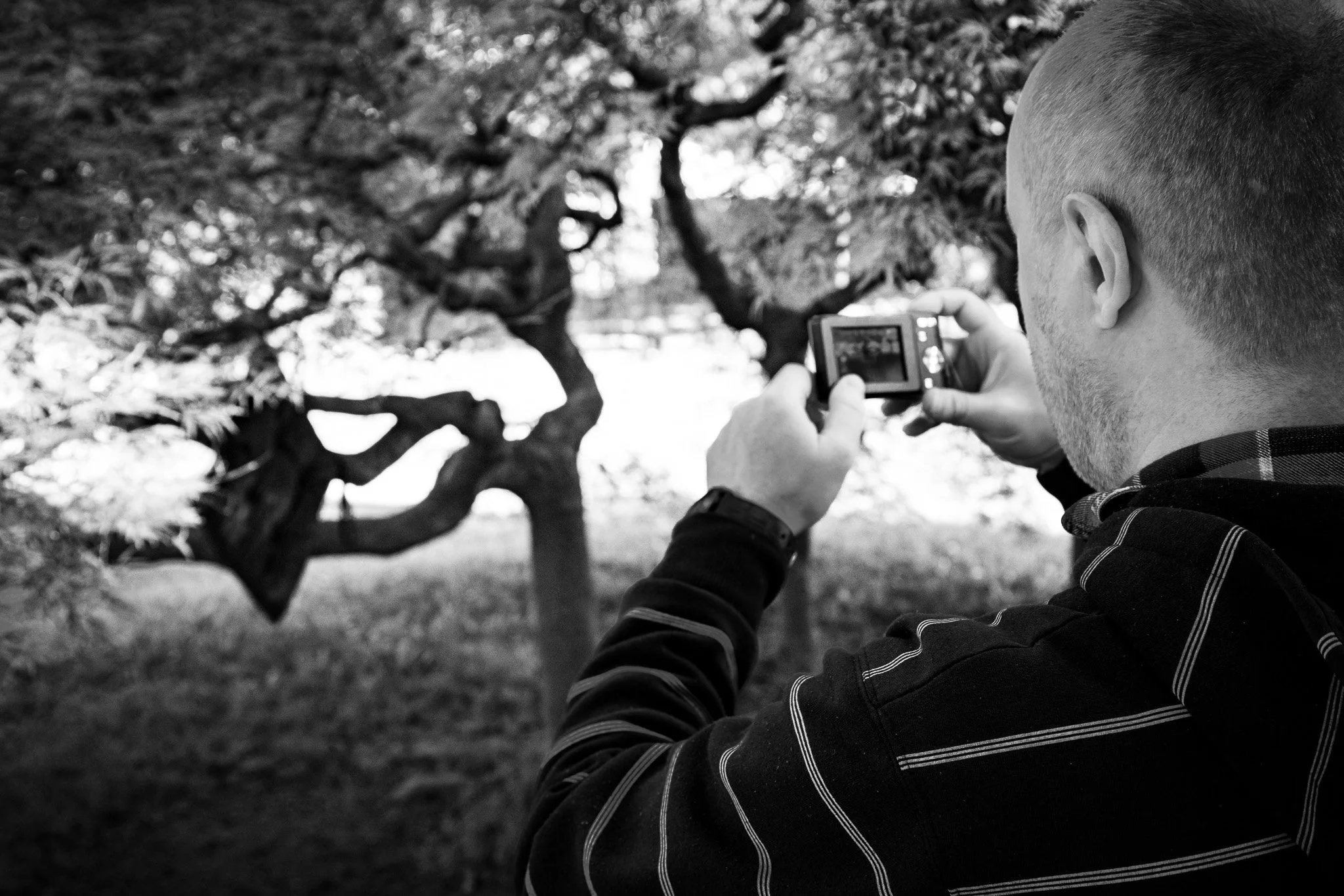 Persona con maglietta a righe che scatta una foto di un albero sfruttando una macchina fotografica digitale in un parco.