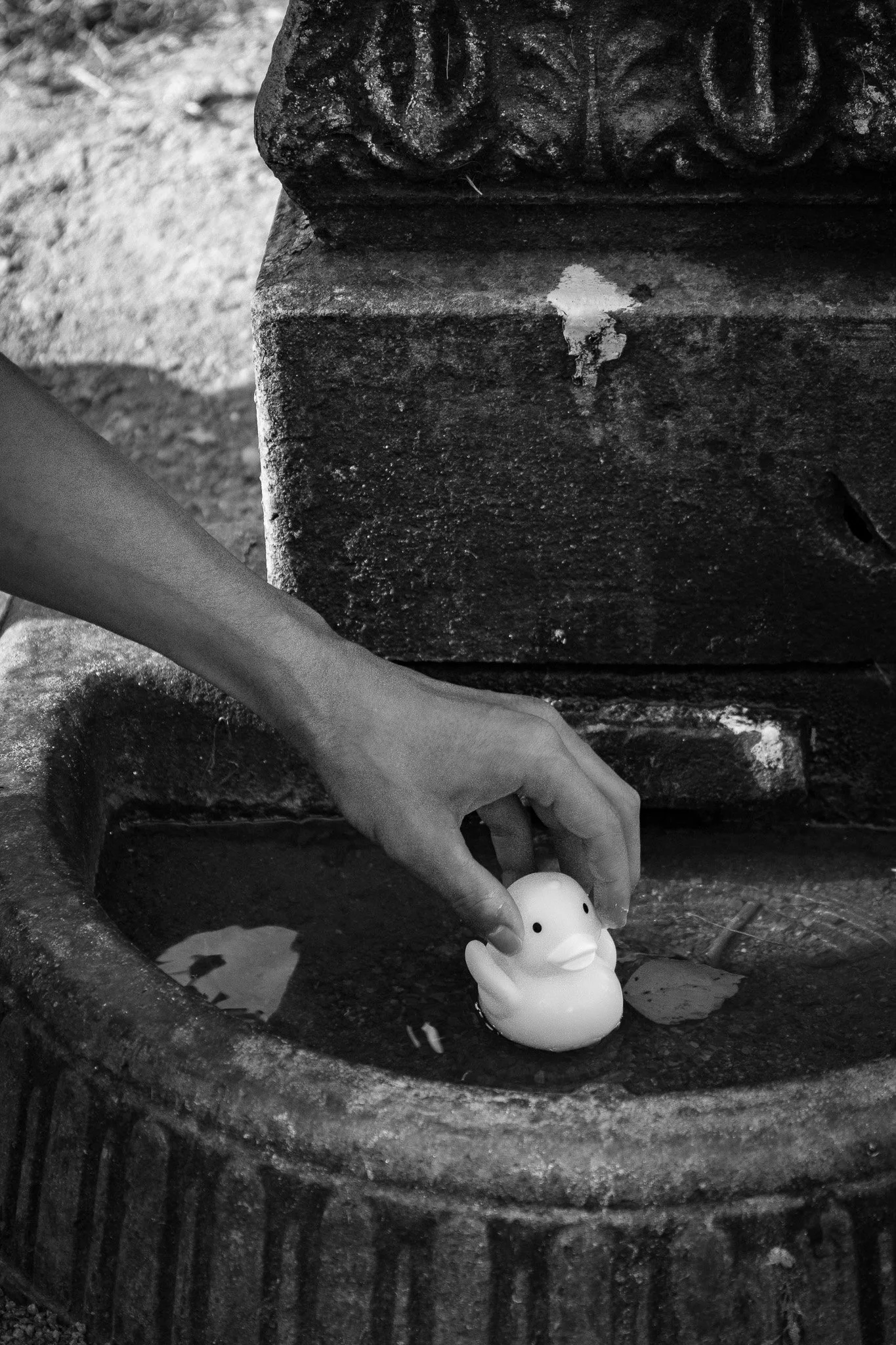 Mano che mette una piccola figura di una paperella di plastica all’interno di una fontanella di pietra. La scena è in bianco e nero.