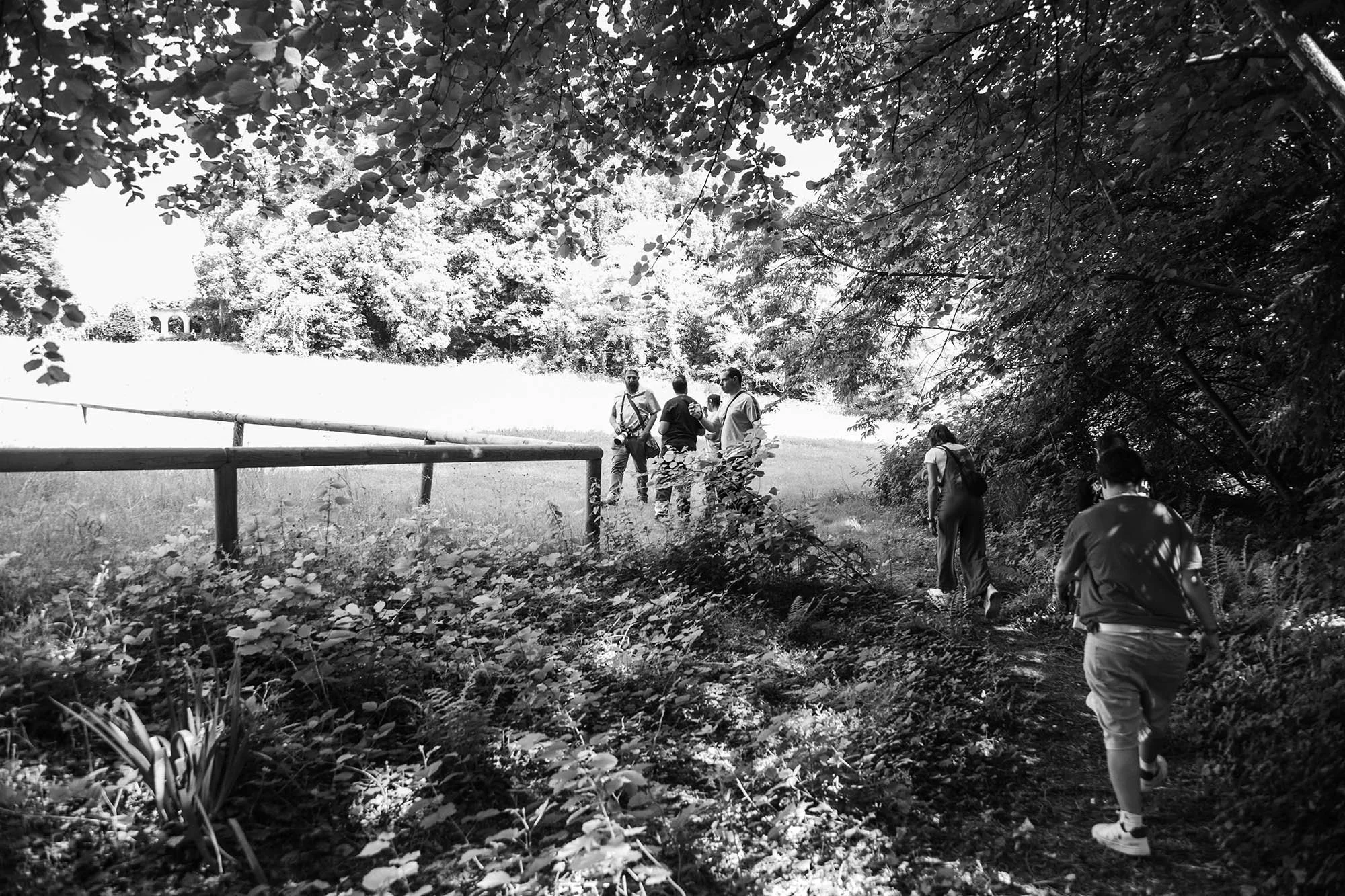 Gruppo di persone che camminano in un bosco con alberi e cespugli, visibili parzialmente sotto una copertura di rami e foglie.