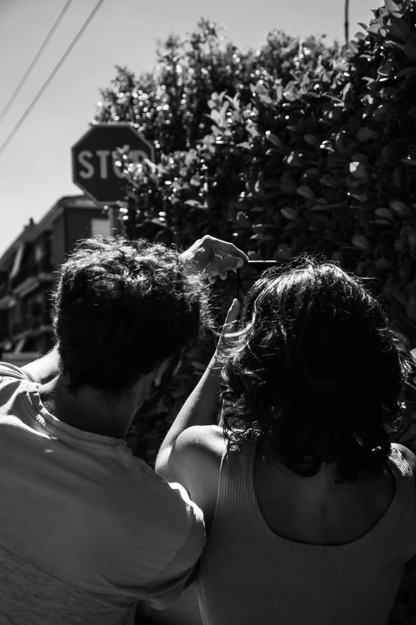 Due persone fotografano un albero con uno smartphone in strada, sullo sfondo si vede un'insegna di un segnale di stop e case di epoca più vecchia.