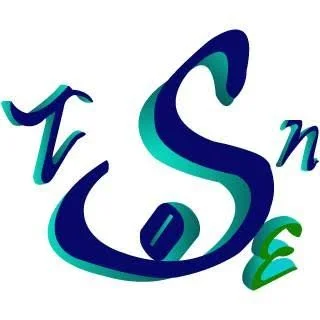 Logo con le lettere T, S, E stilizzate con sfumature di blu e verde.
