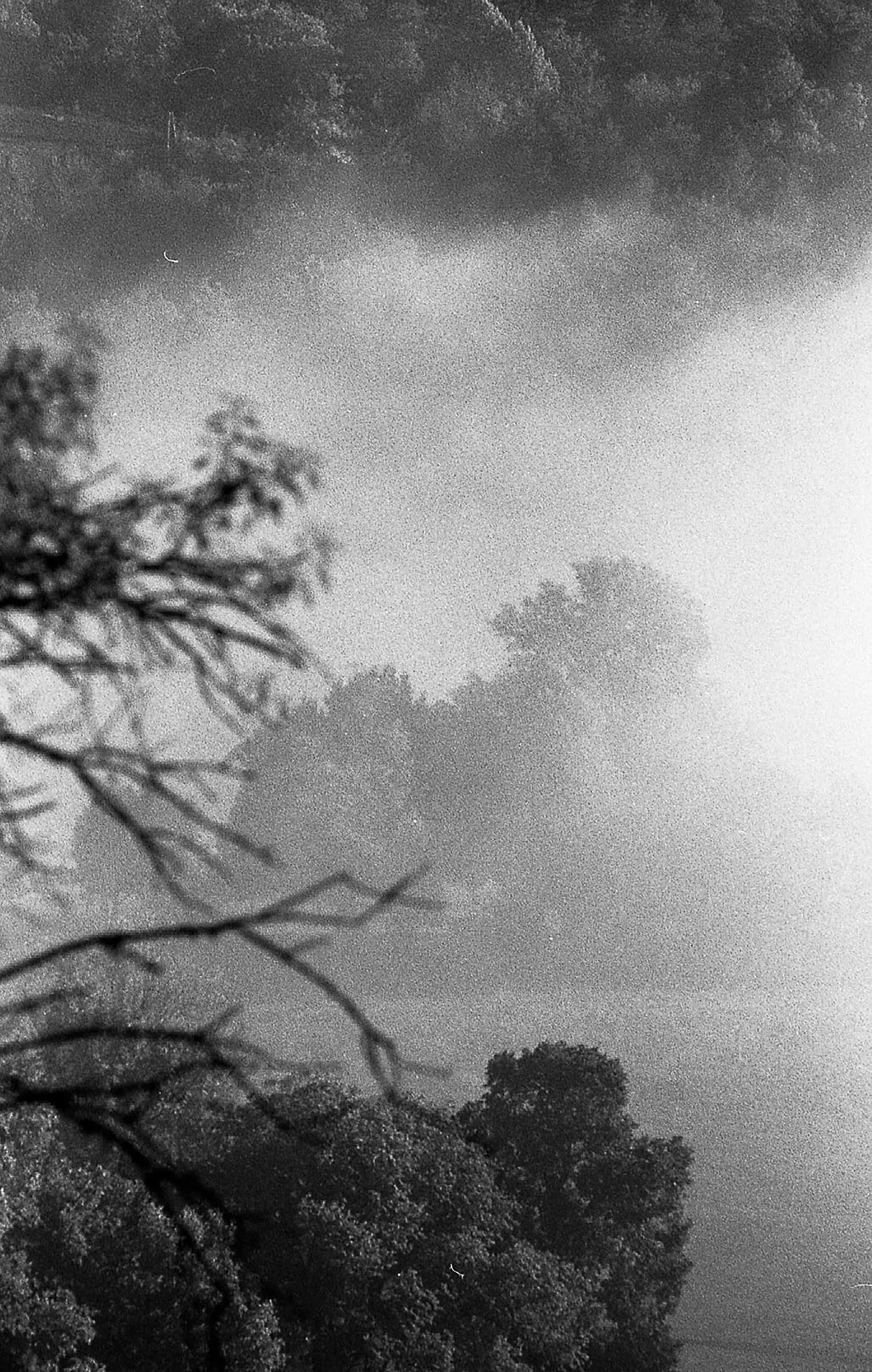 Ciel nuageux avec quelques branches d'arbres en premier plan et des nuages de pluie ou orageux.