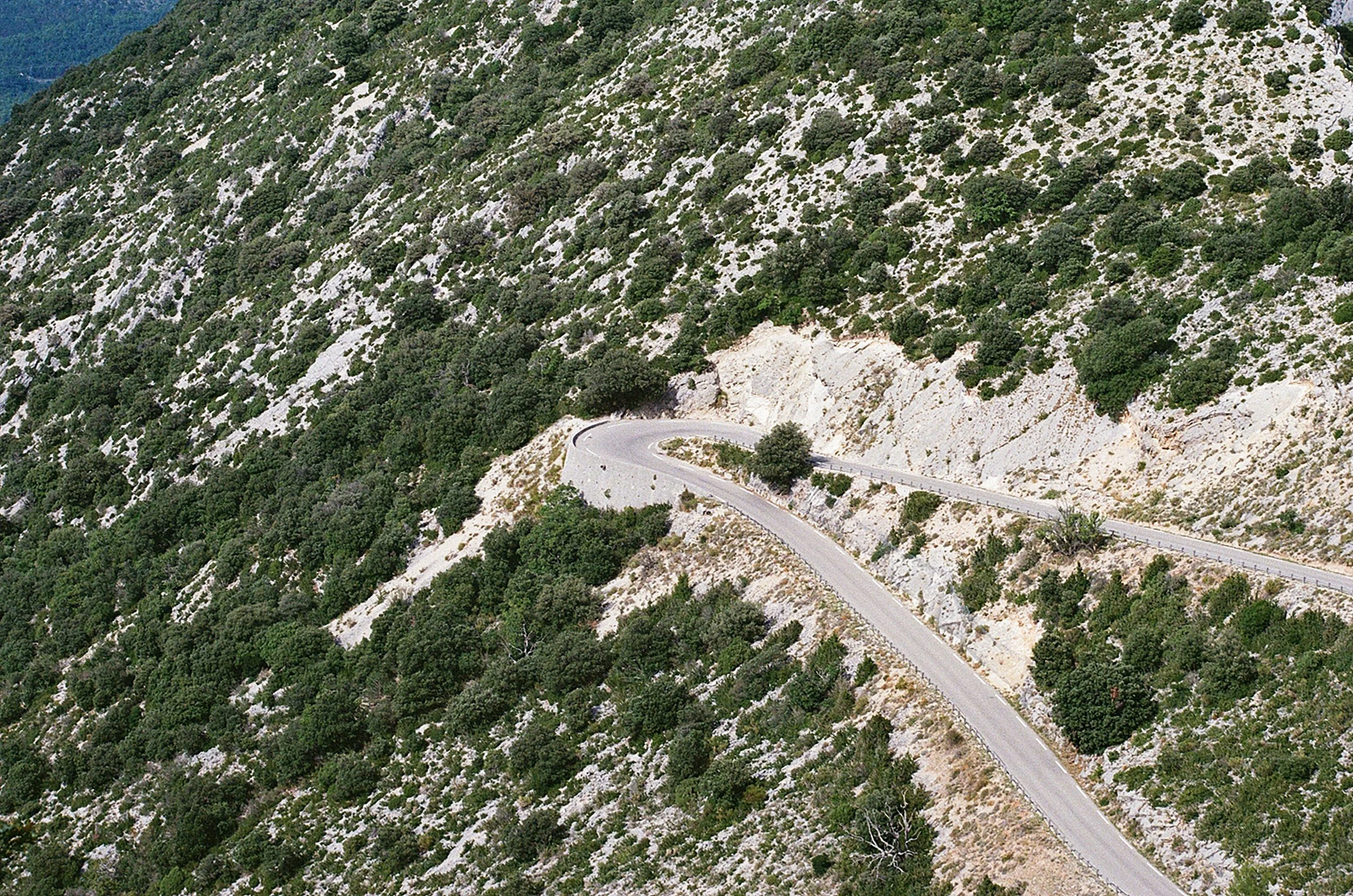 Route sinueuse traversant une pente rocheuse dense en végétation verte abondante.