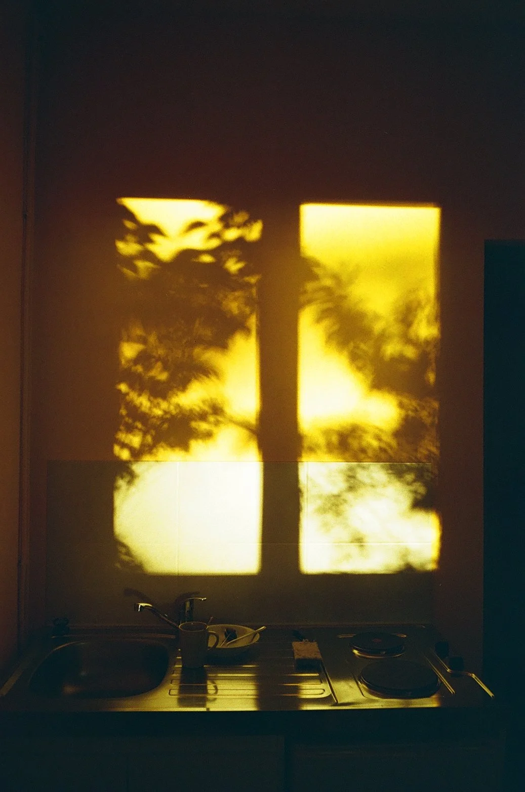 Projection d'une ombre d'arbres et d'une fenêtre sur un mur ensoleillé derrière une cuisine.