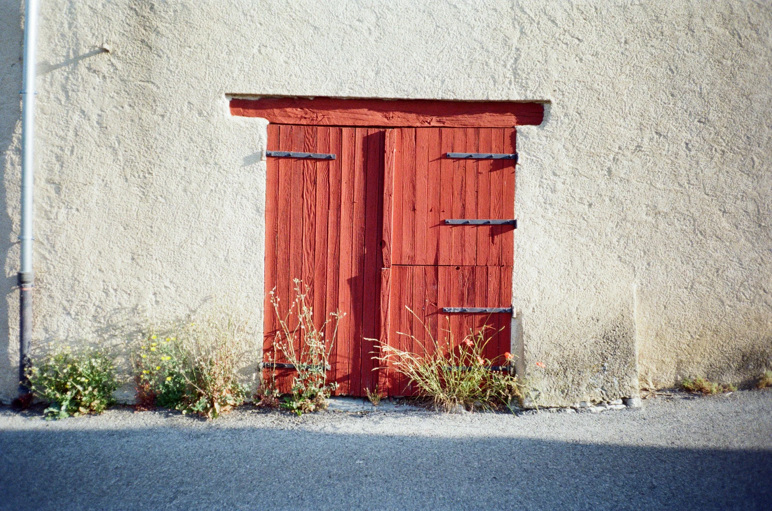 Une porte en bois rouge fixée dans un mur en plâtre beige, avec des plantes poussant à sa base.