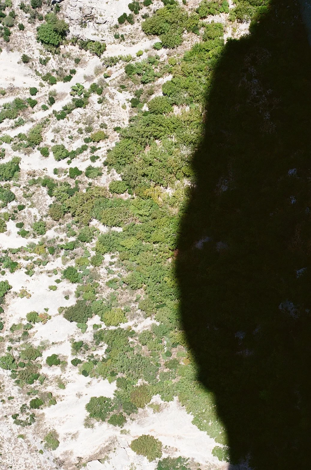 Vue d'une forêt dense vue du ciel, avec une ombre entre la forêt et le ciel.