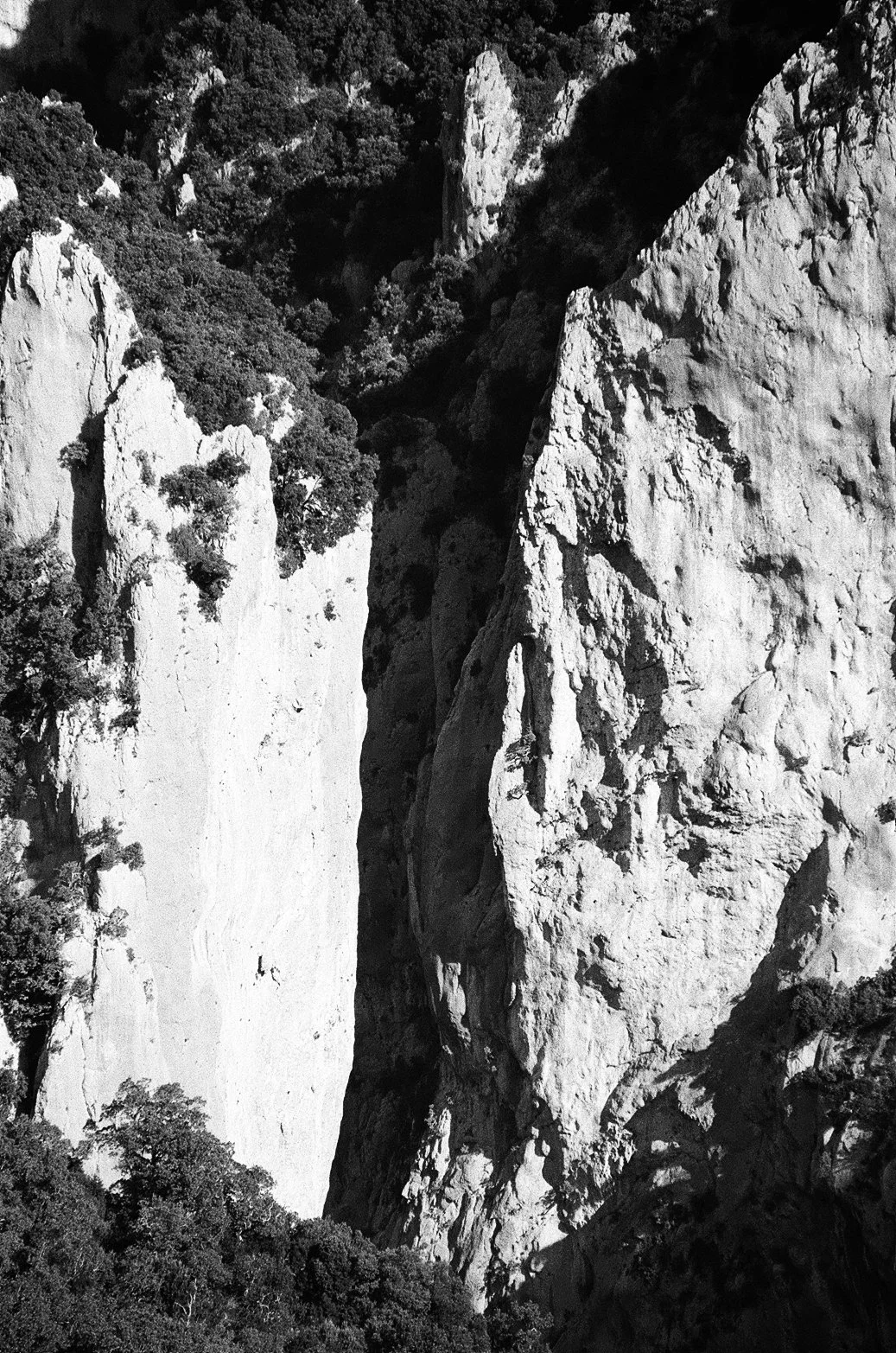 Paysage de falaises rocheuses avec végétation dense en noir et blanc.