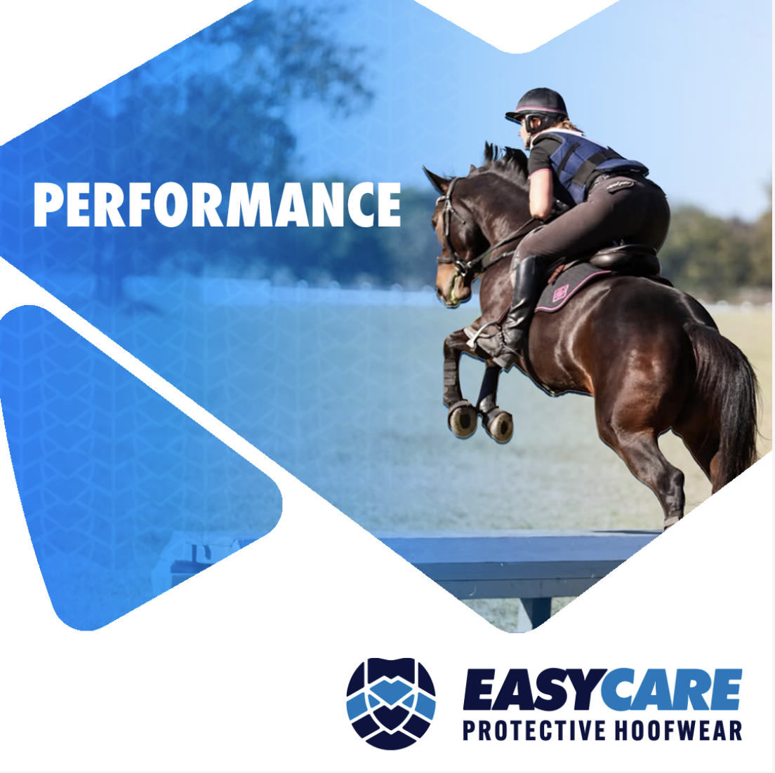 EasyCare Inc.