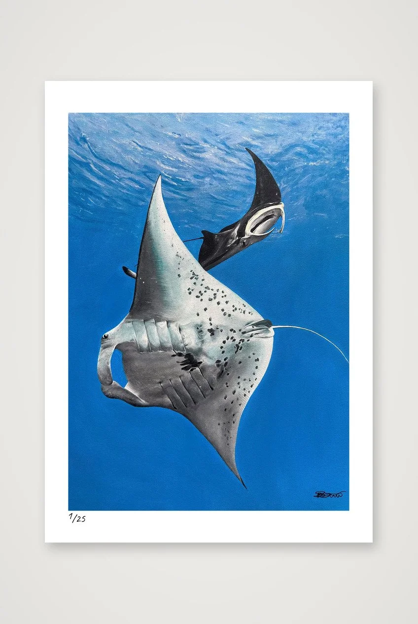 Manta | Giclée Print