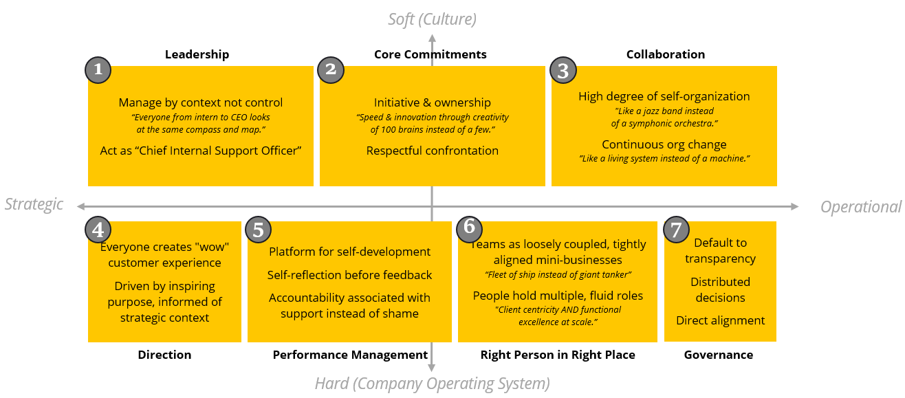 A diagram illustrating organizational principles with three cores of leadership, core commitments, and collaboration arranged along a spectrum from strategic to operational. Below, four sections highlight strategic and operational aspects like direction, performance management, right person in right place, and governance, each containing descriptions and quotes related to leadership, self-development, teamwork, transparency, and decision-making.