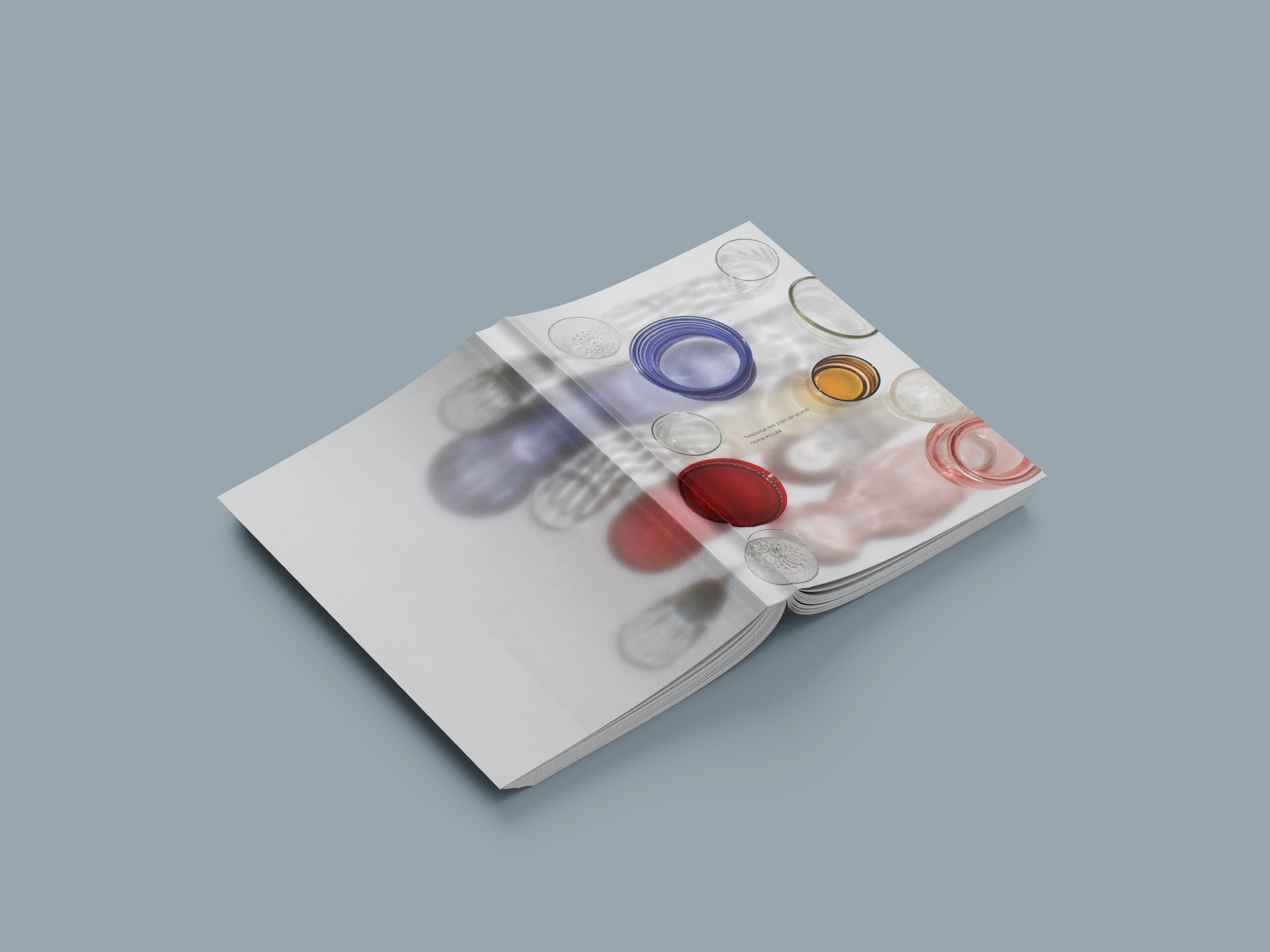 Through The Eyes Of Glass