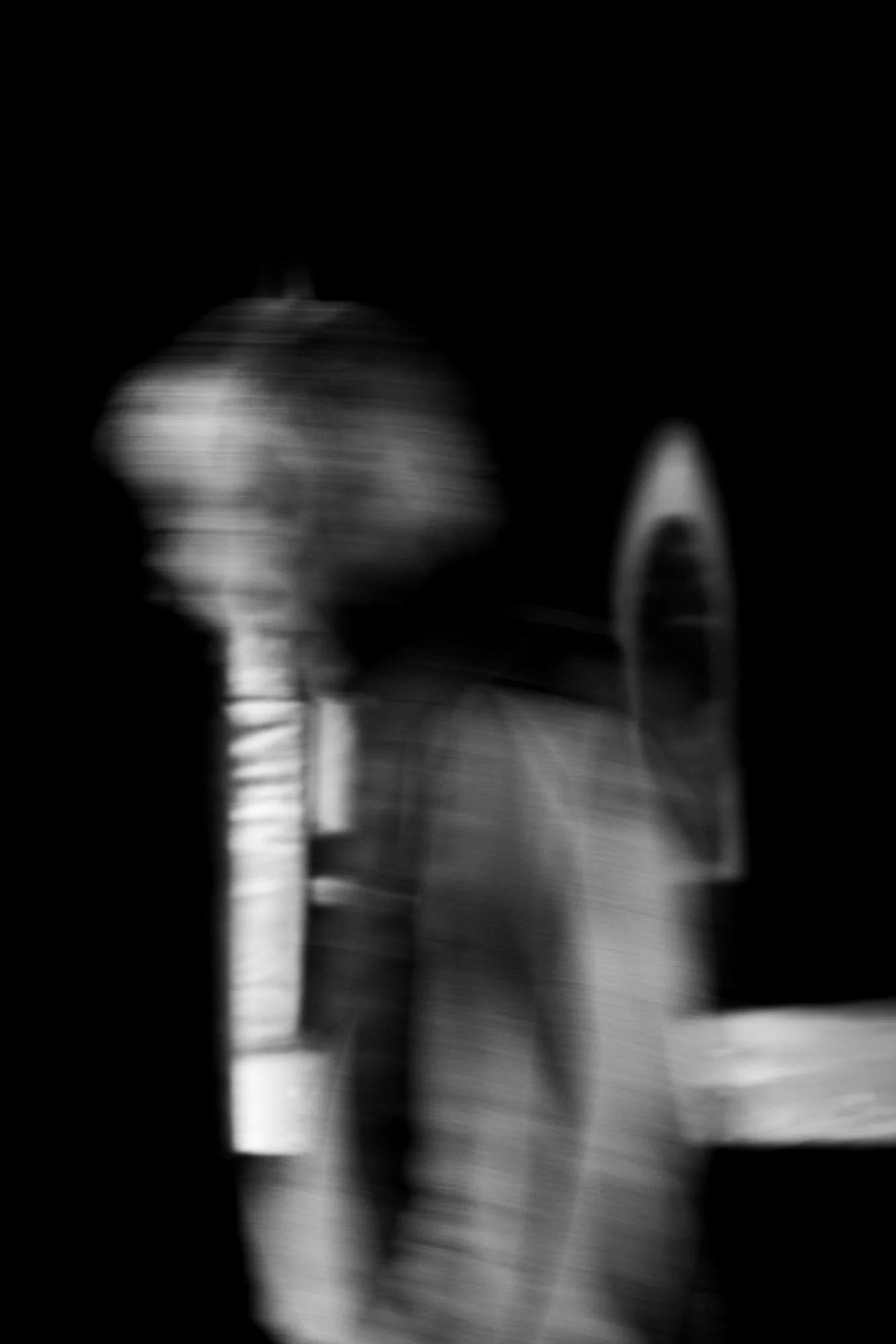 IMG_8995.jpeg