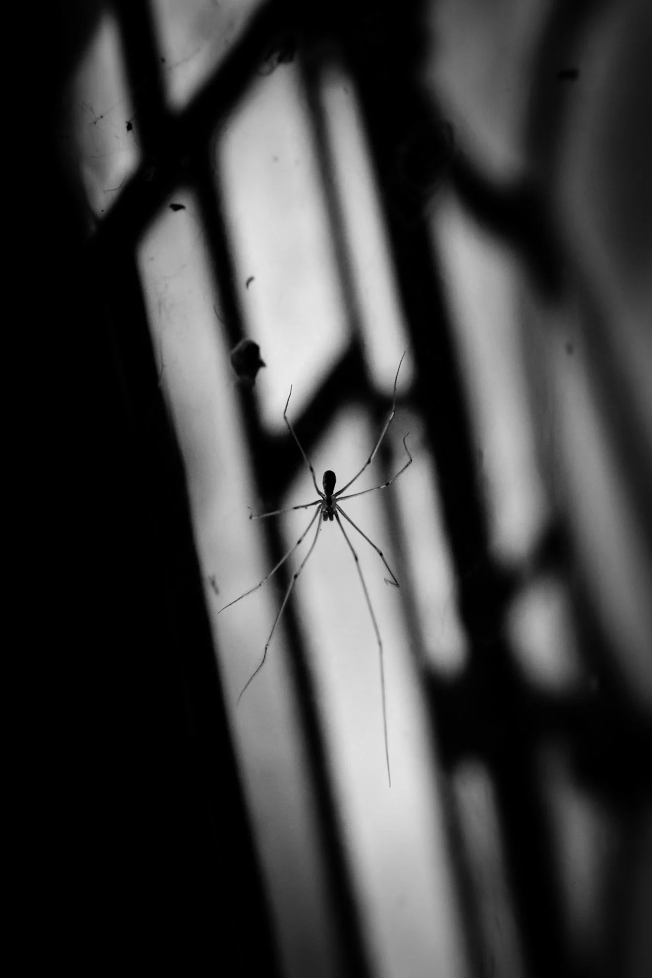 IMG_9002.jpeg