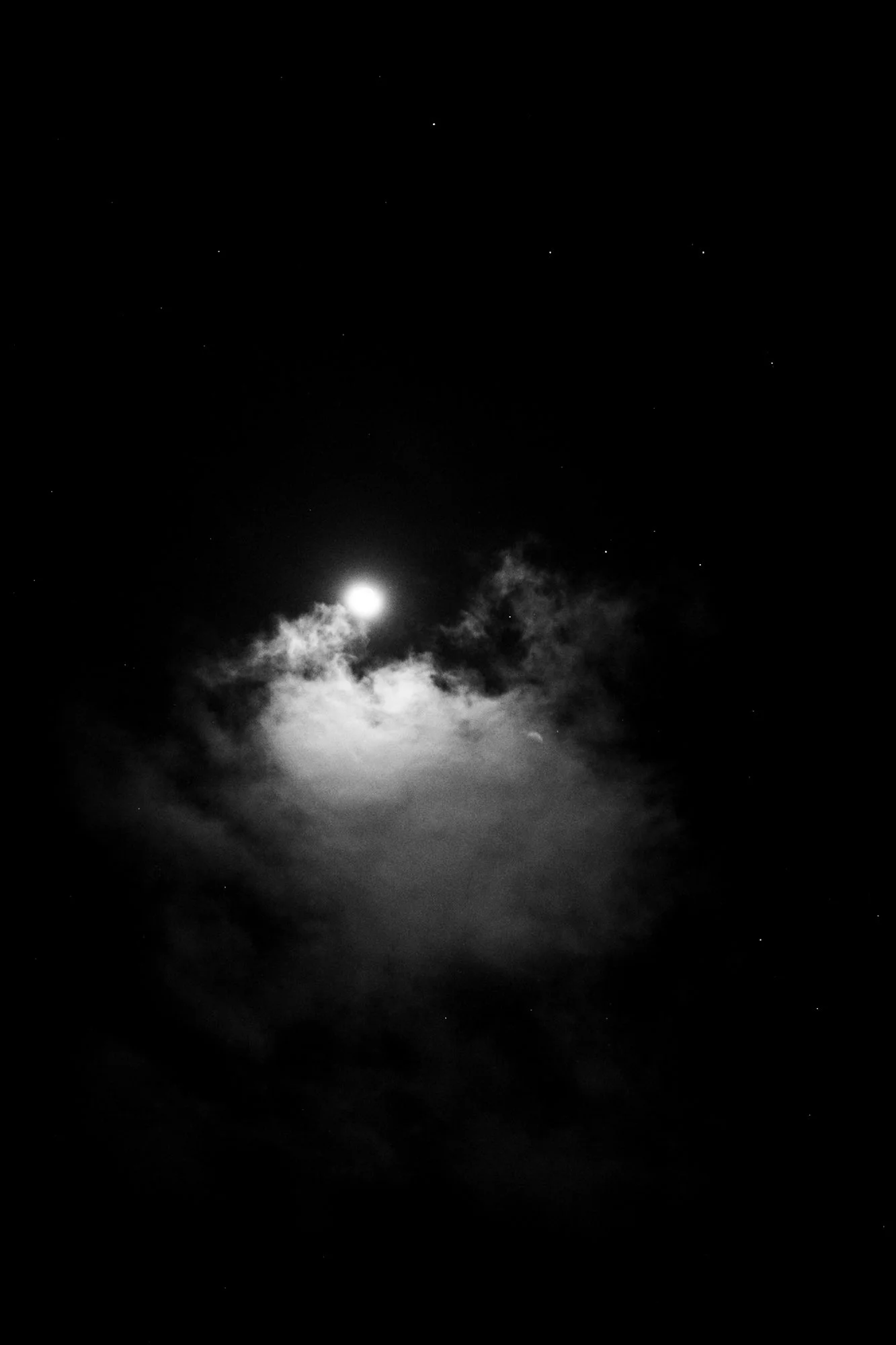 IMG_8998.jpeg