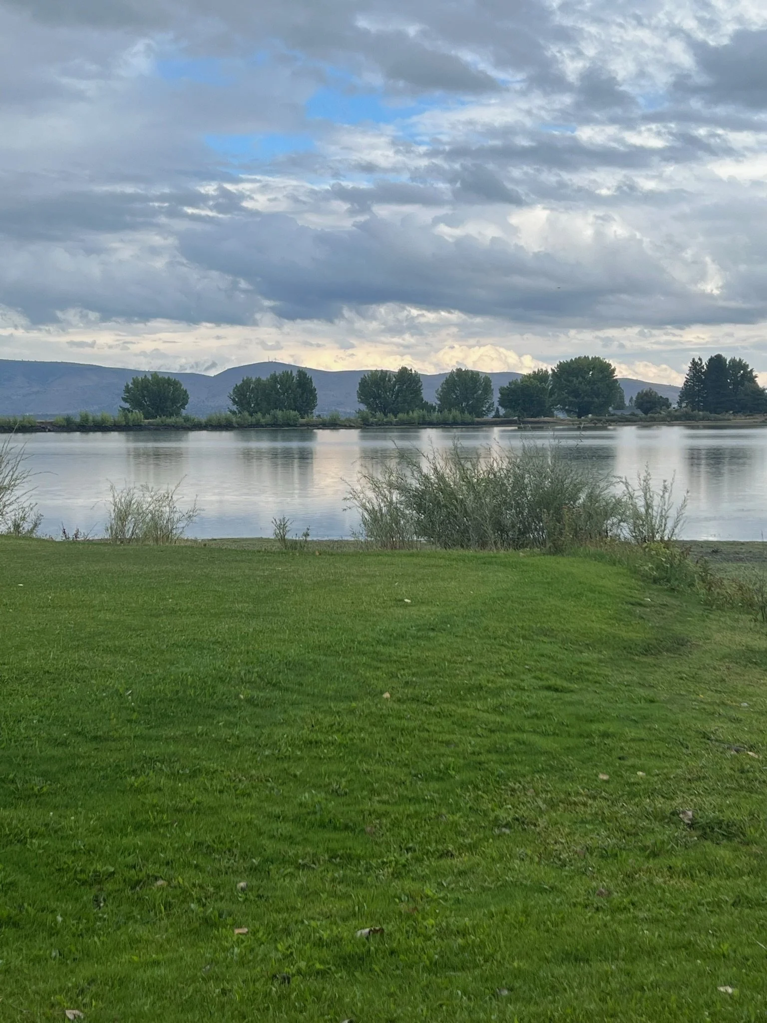 A serene landscape with a body of water, lush green grass and plants in the foreground, a line of trees, and rolling hills under a partly cloudy sky.