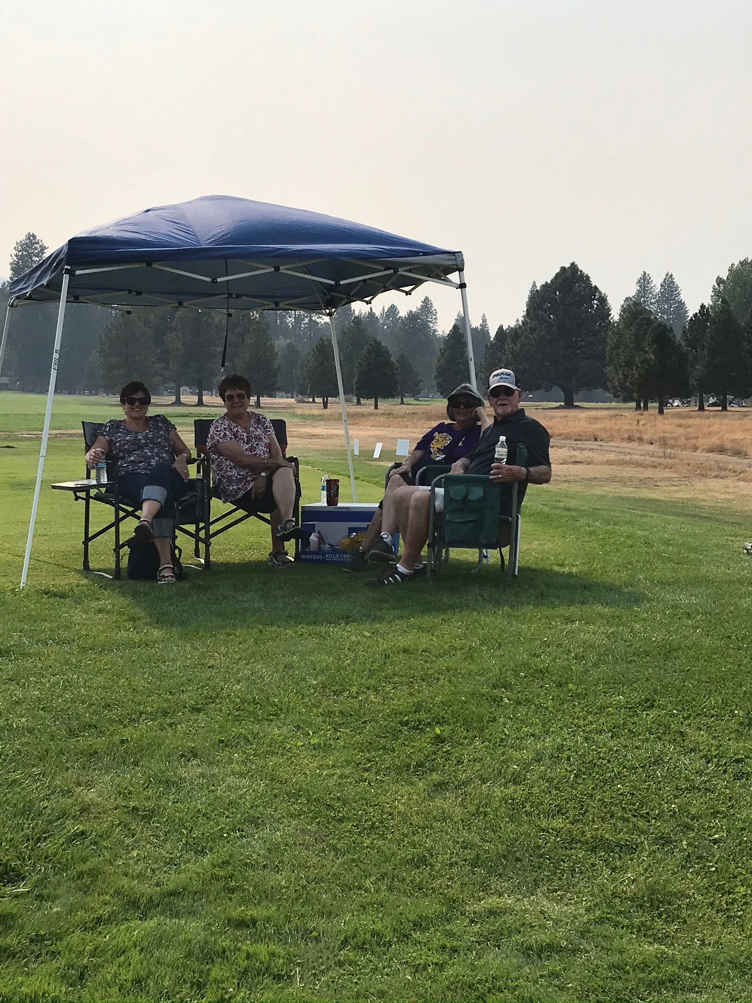 Four people sitting outdoors under a canopy with trees and a grassy field in the background