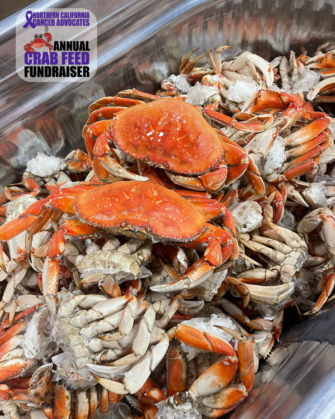 Fresh crabs in a metal container, with a logo in the top left corner for the Northern California Cancer Advocates' annual crab feed fundraiser.
