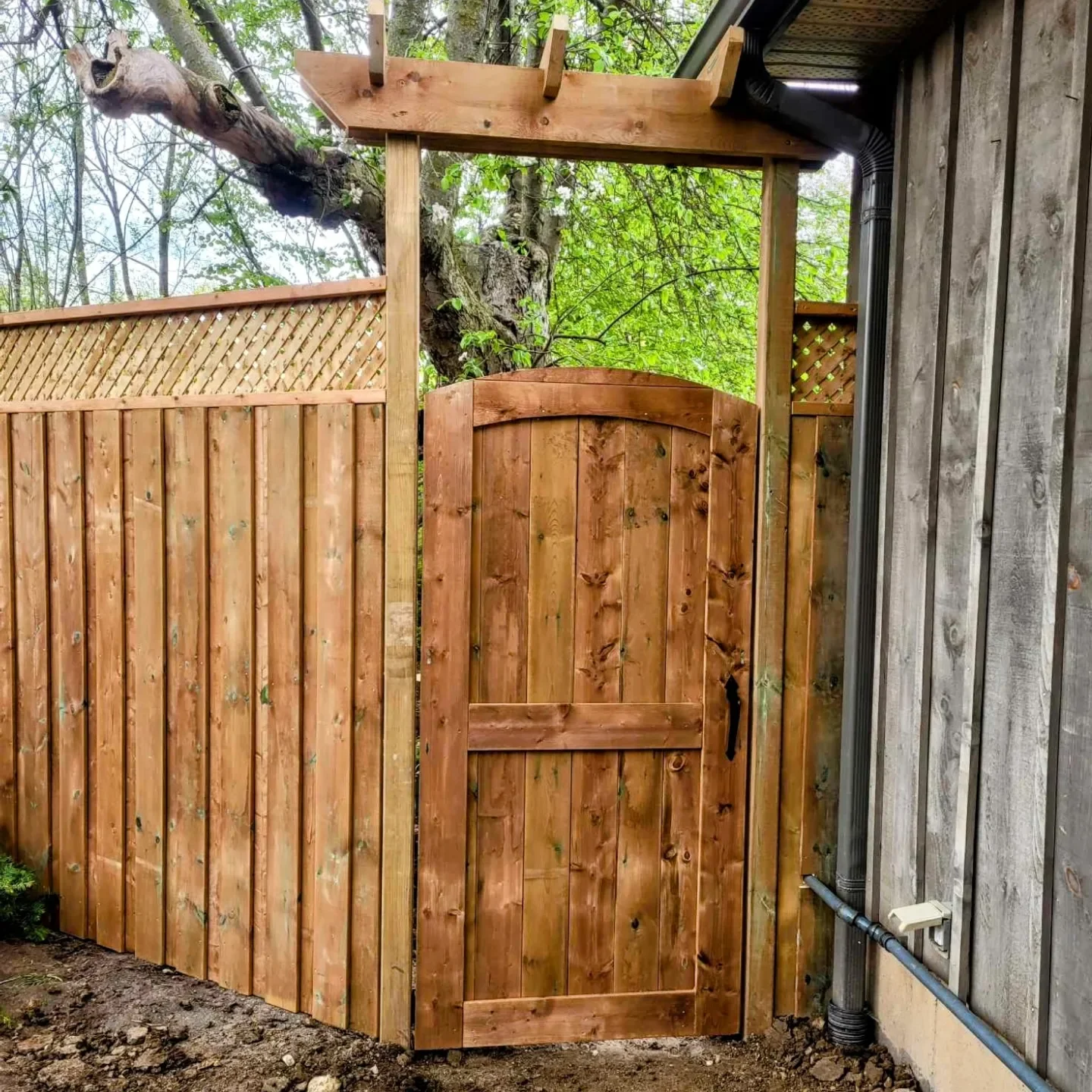 A newly installed wooden garden fence with a small gate, located next to a building with a gray exterior wall and black drainage pipes; a large mature tree with green foliage is visible behind the fence.