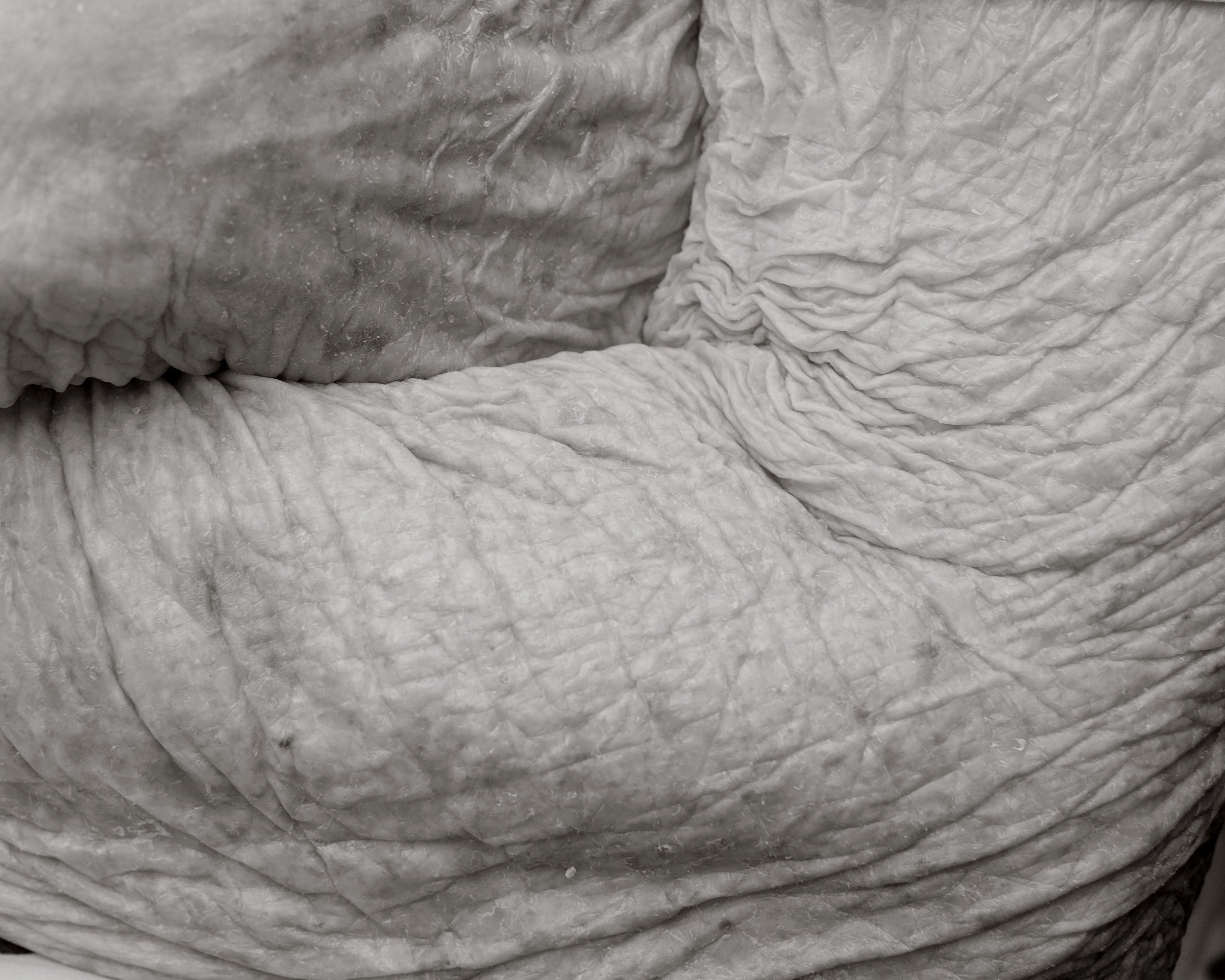 Close-up of wrinkled, textured skin, showing folds and creases of people over the age of 100